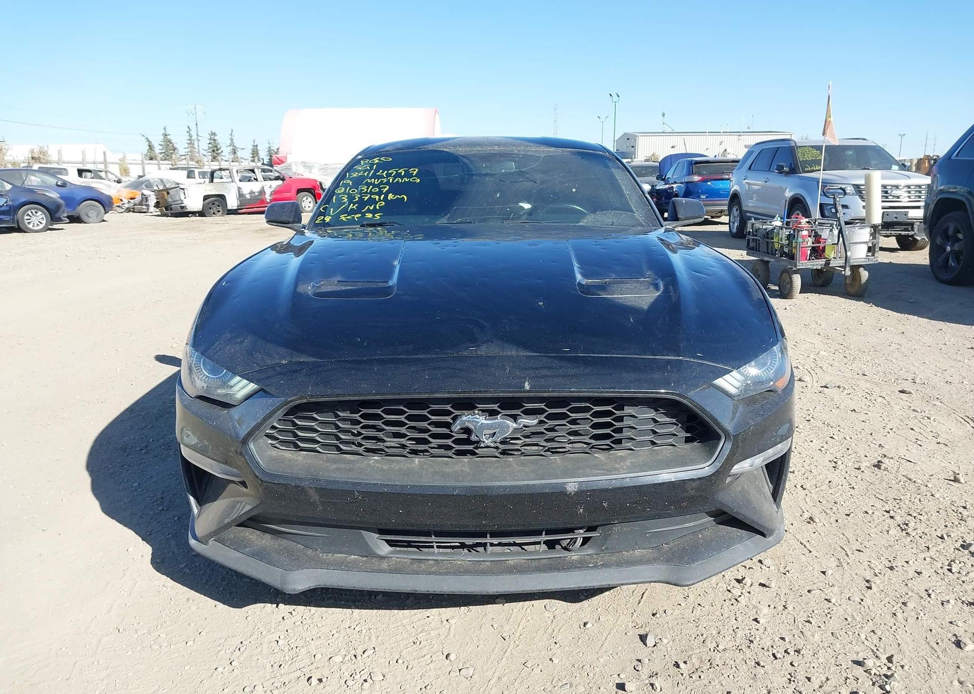 2019 FORD MUSTANG