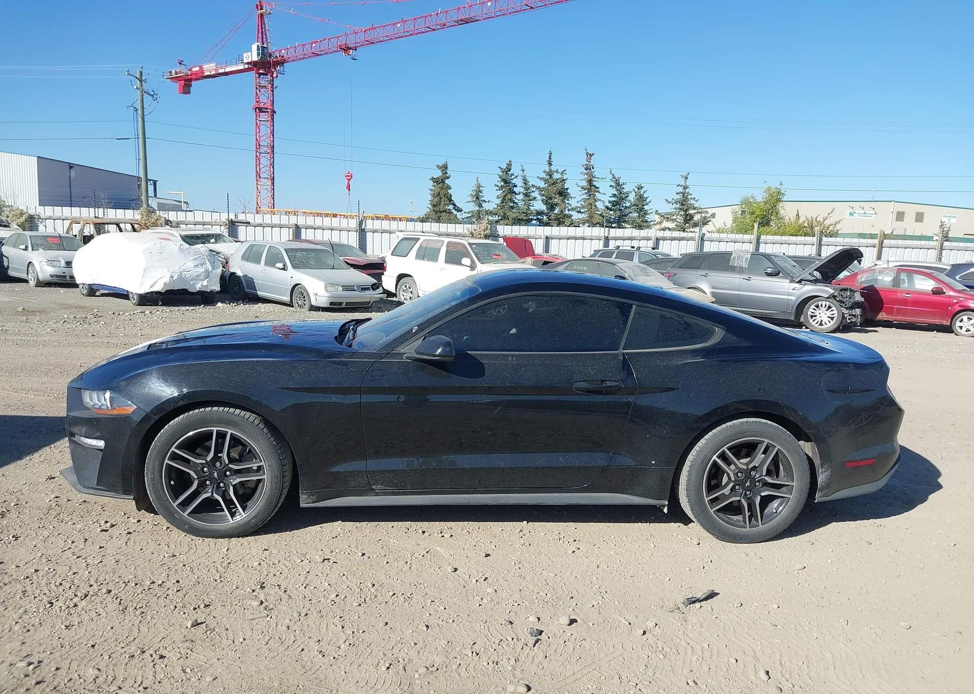 2019 FORD MUSTANG