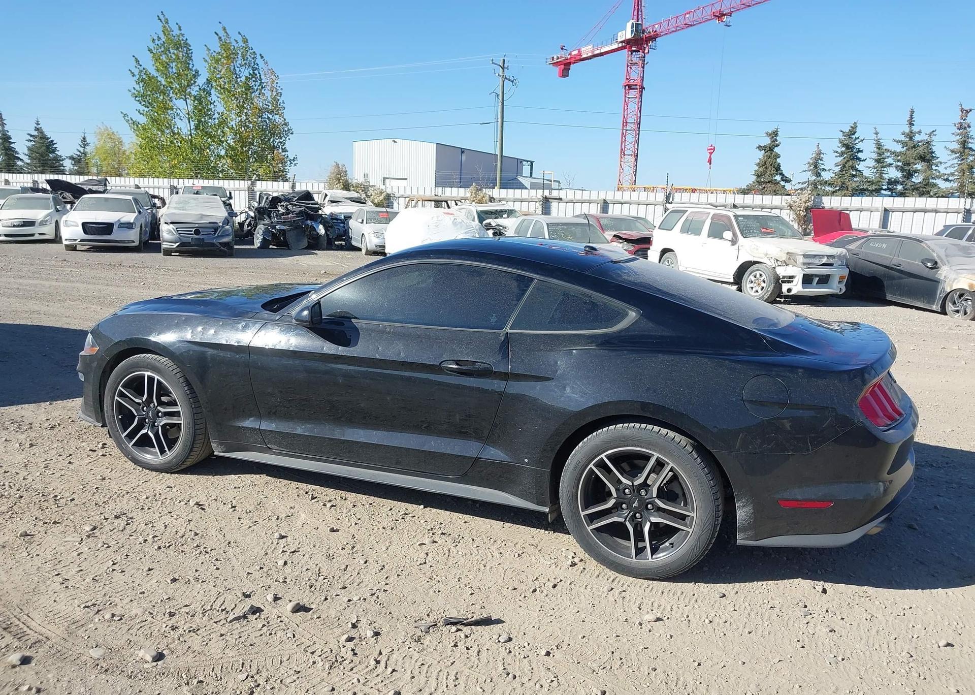 2019 FORD MUSTANG
