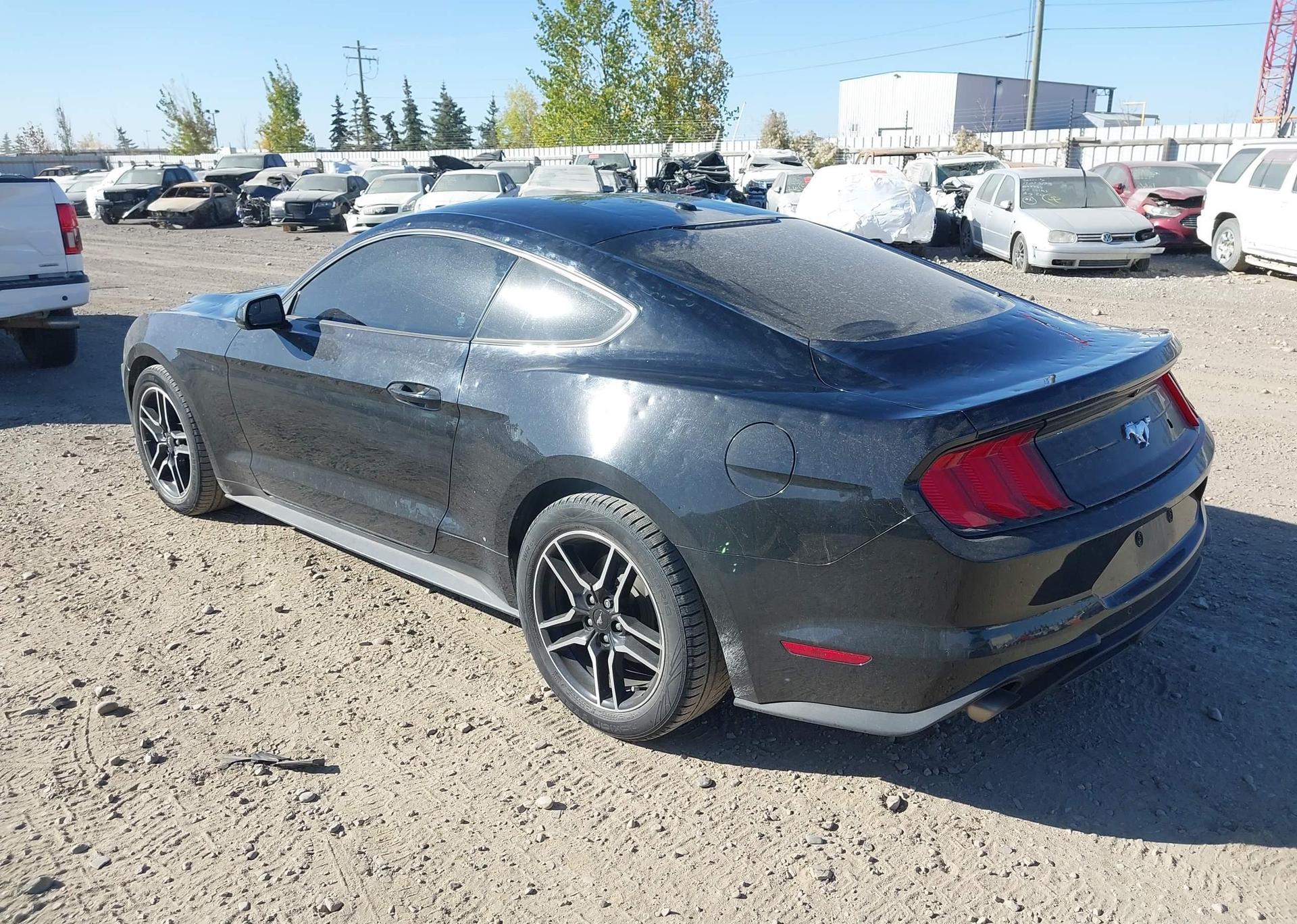 2019 FORD MUSTANG