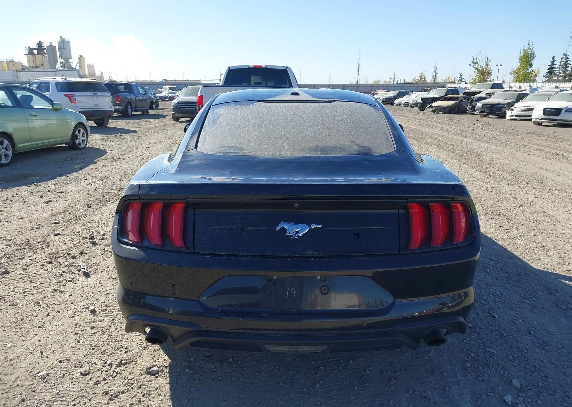2019 FORD MUSTANG
