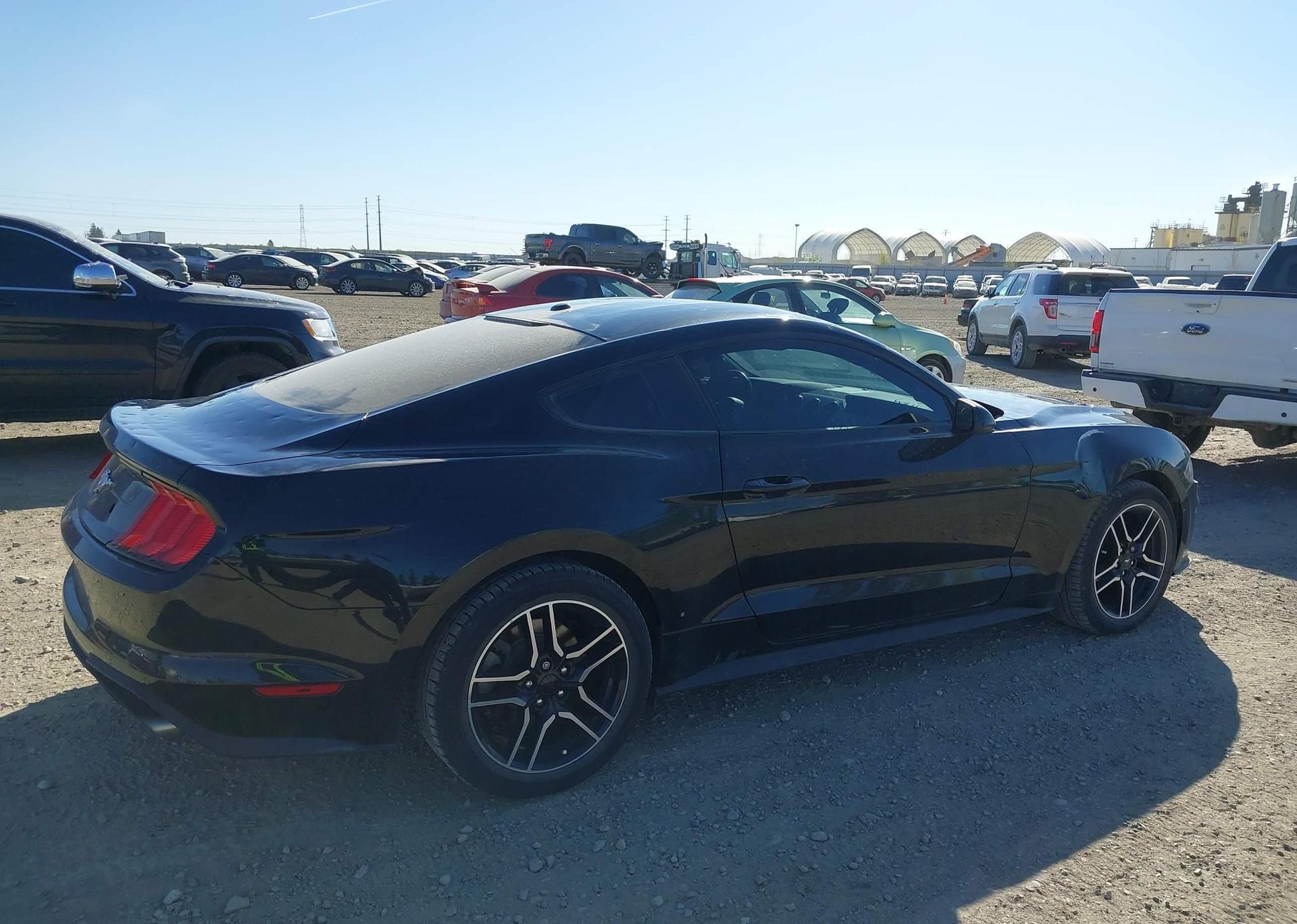 2019 FORD MUSTANG