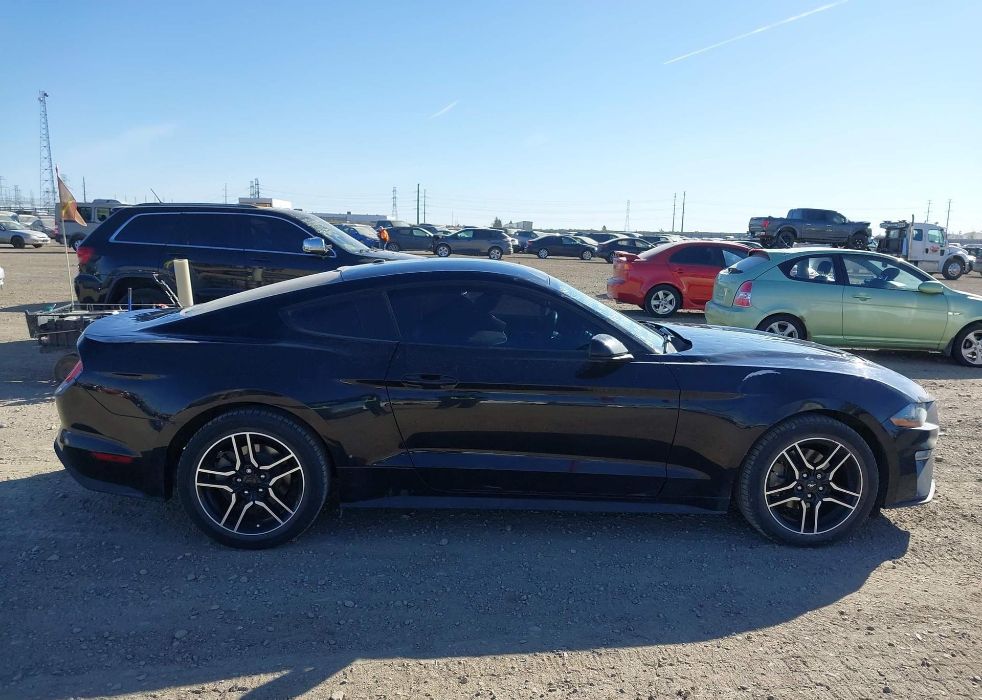 2019 FORD MUSTANG