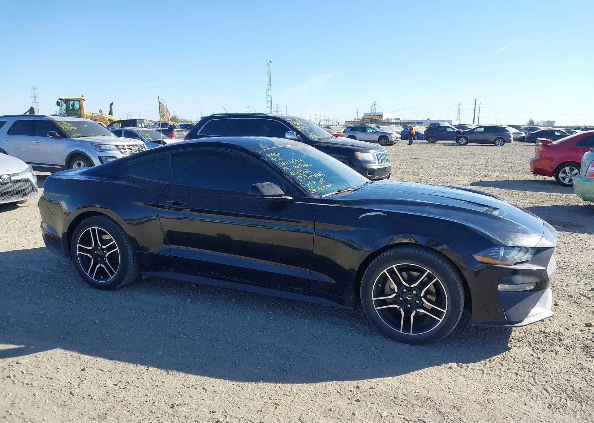 2019 FORD MUSTANG
