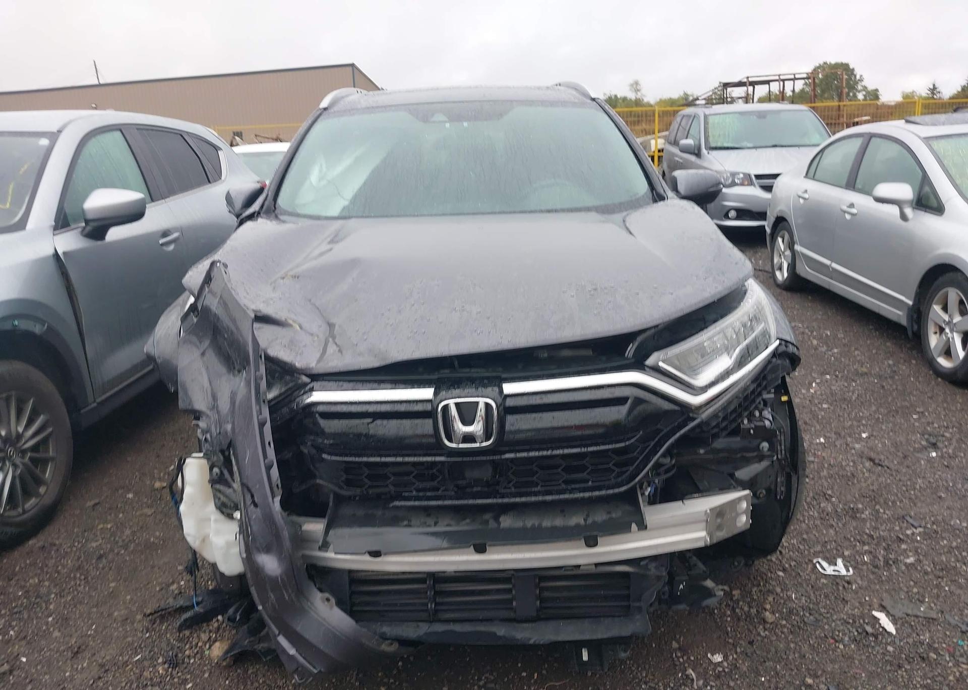 2022 HONDA CR-V BLACK EDITION