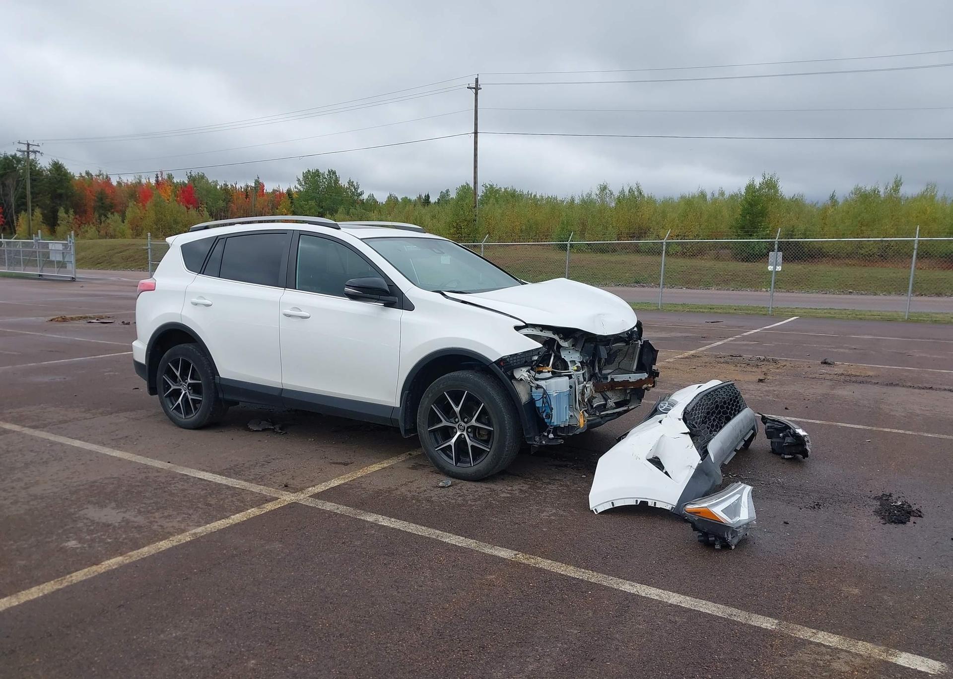 2018 TOYOTA RAV4 SE