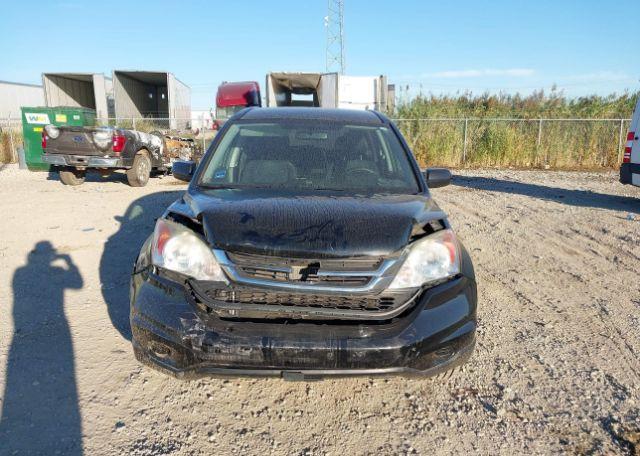 2010 HONDA CR-V LX
