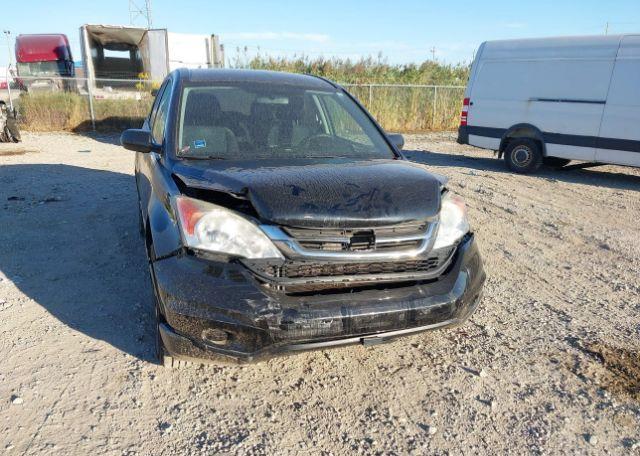 2010 HONDA CR-V LX