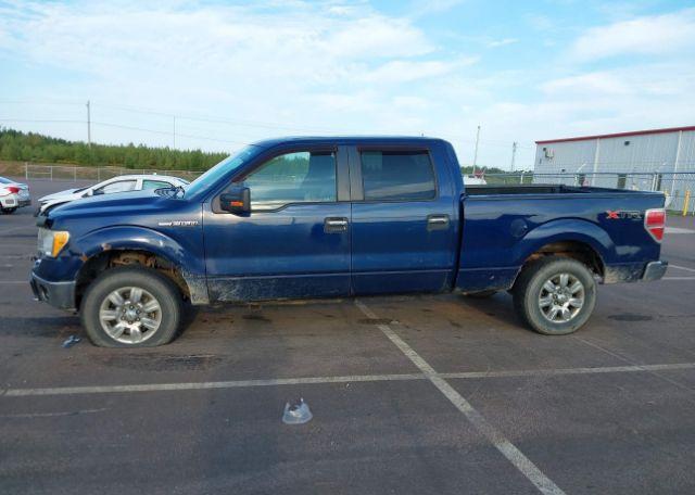 2010 FORD F-150 FX4