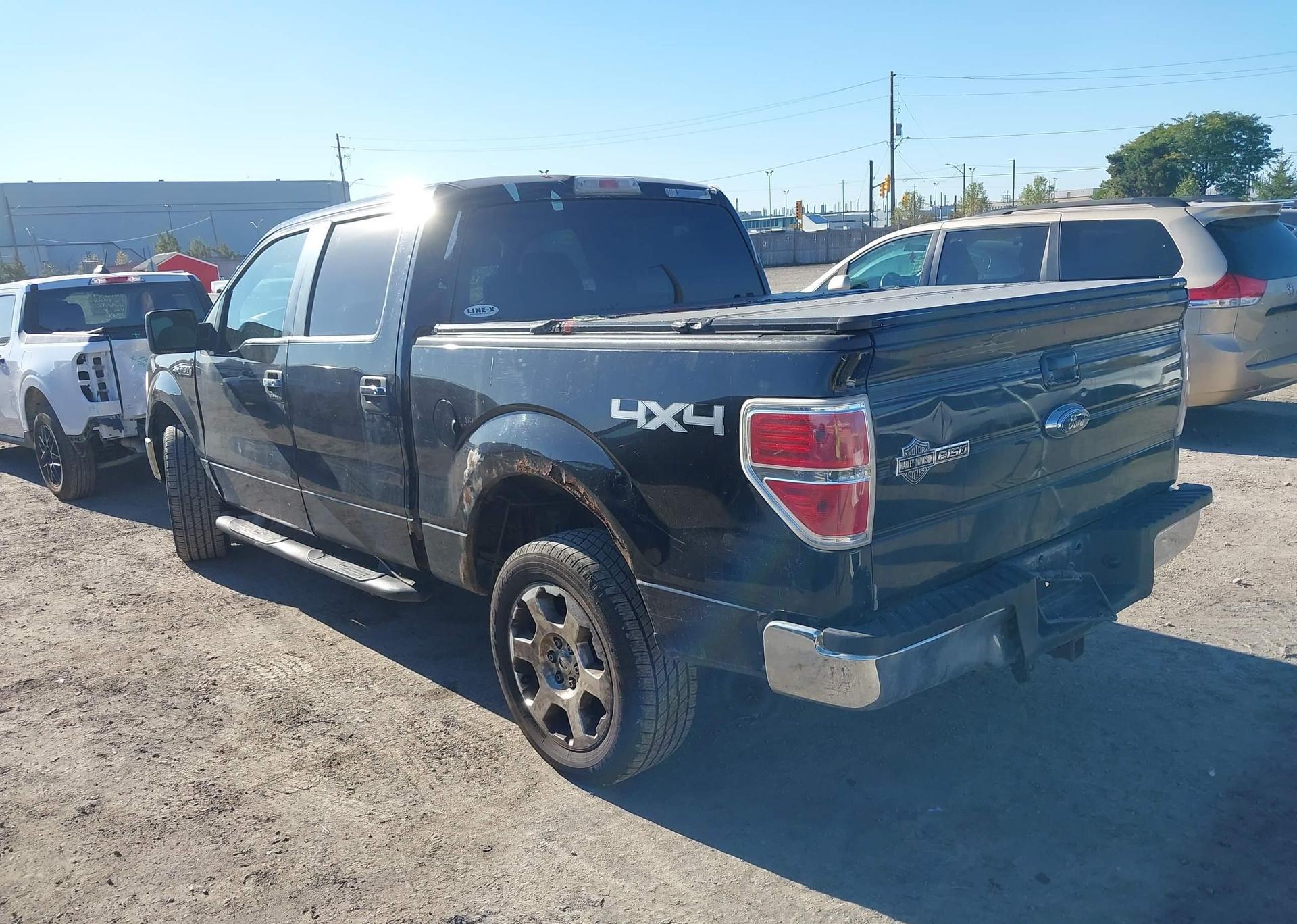 2009 FORD F-150 FX4
