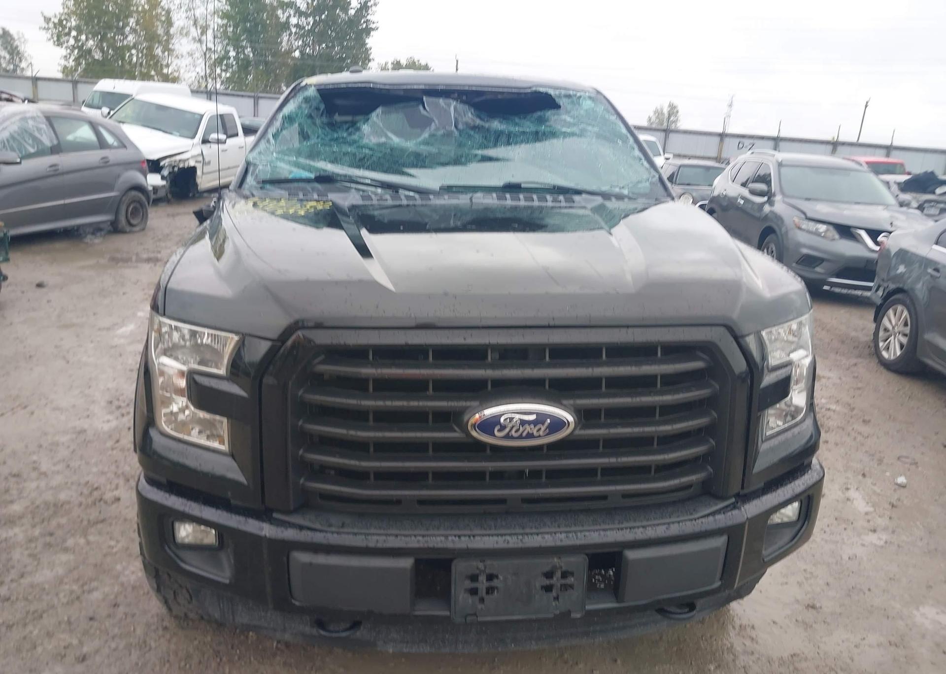 2016 FORD F-150 XLT