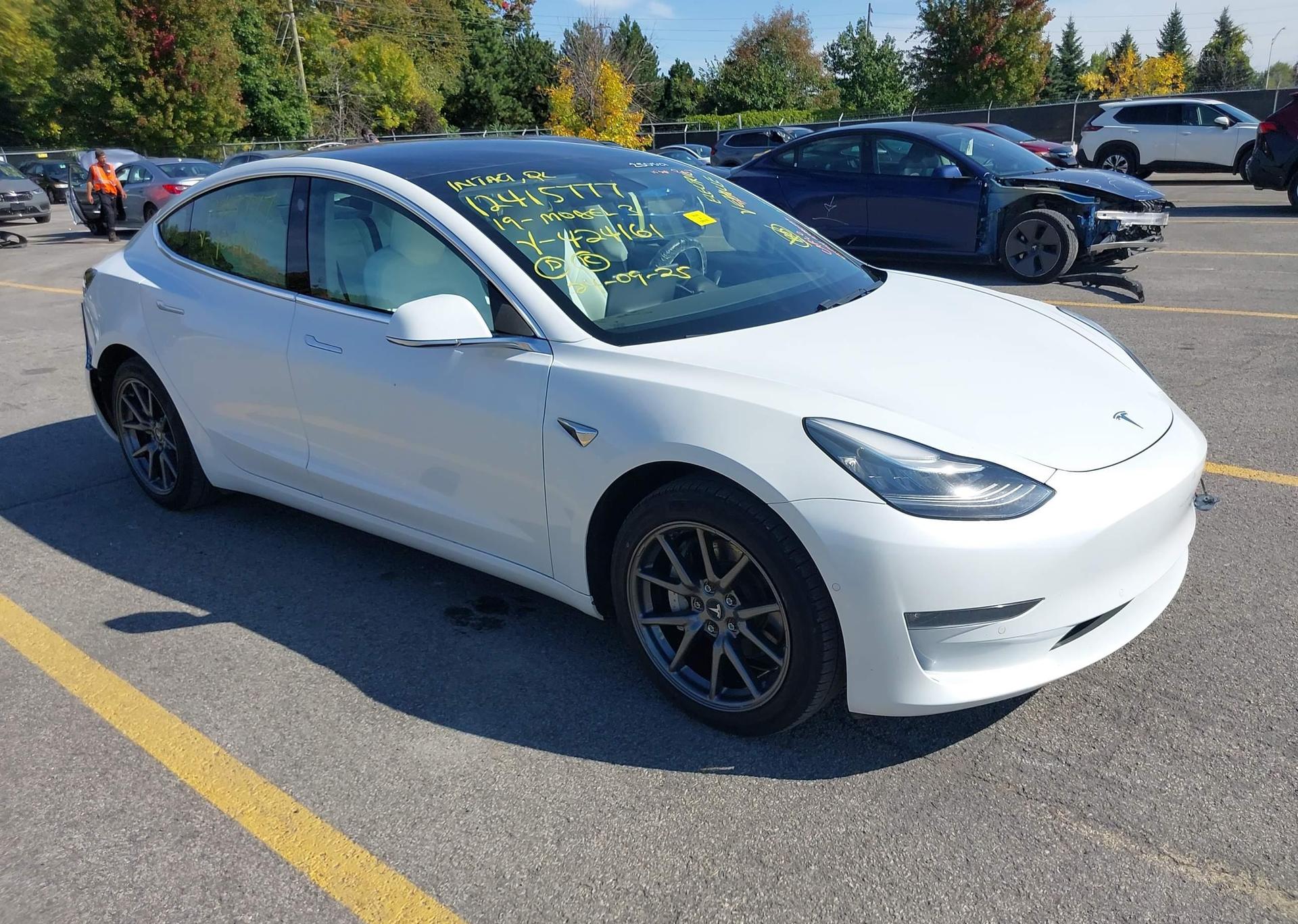 2019 TESLA MODEL 3 LONG RANGE