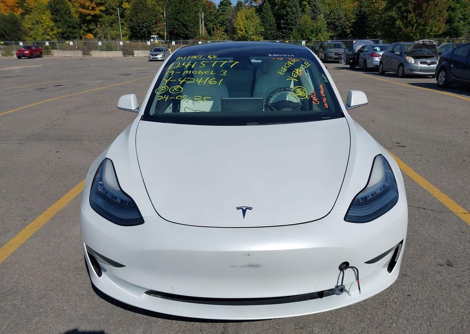 2019 TESLA MODEL 3 LONG RANGE