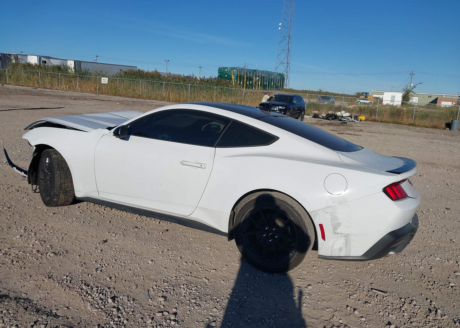 2024 FORD MUSTANG ECOBOOST