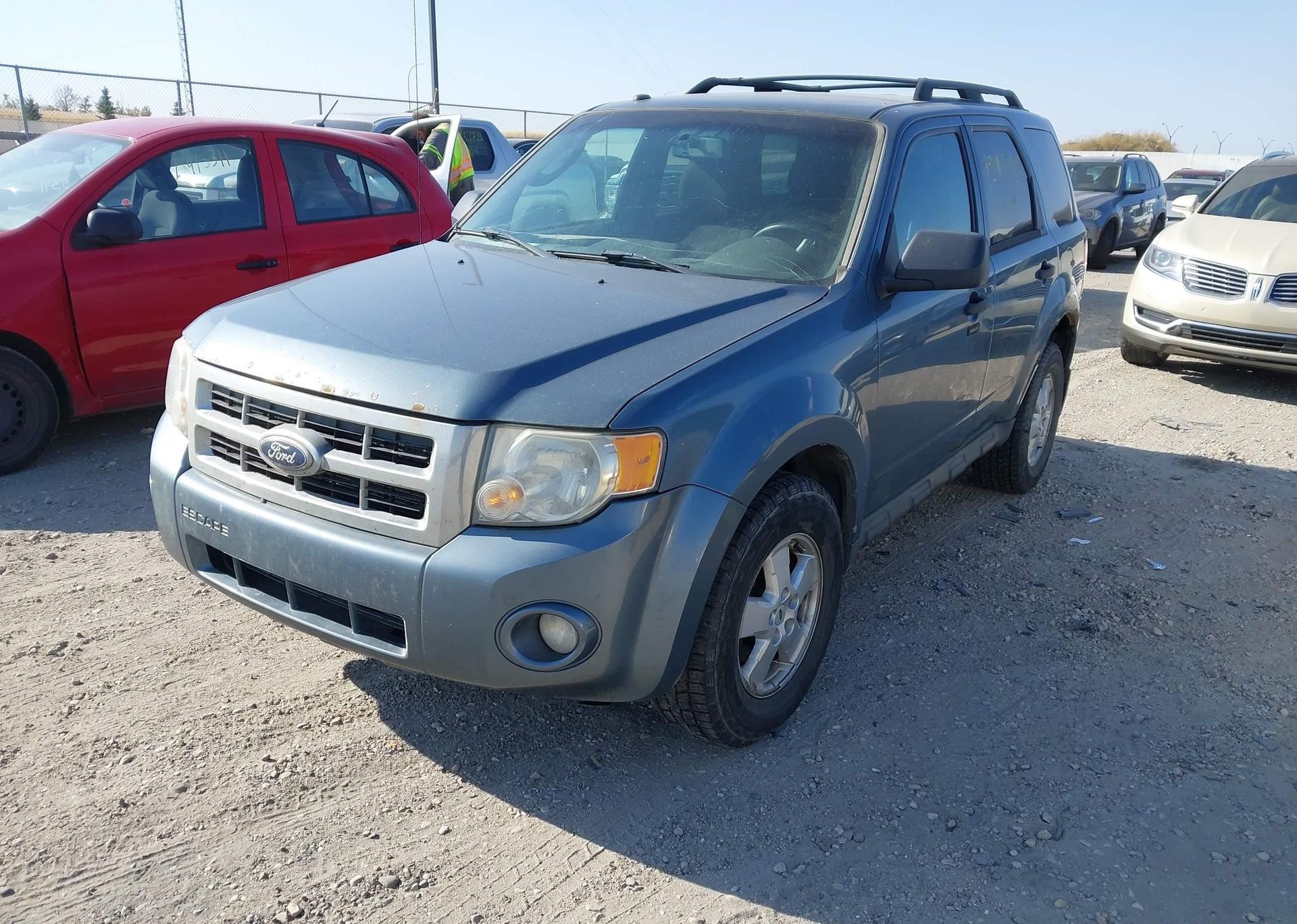 2010 FORD ESCAPE XLT