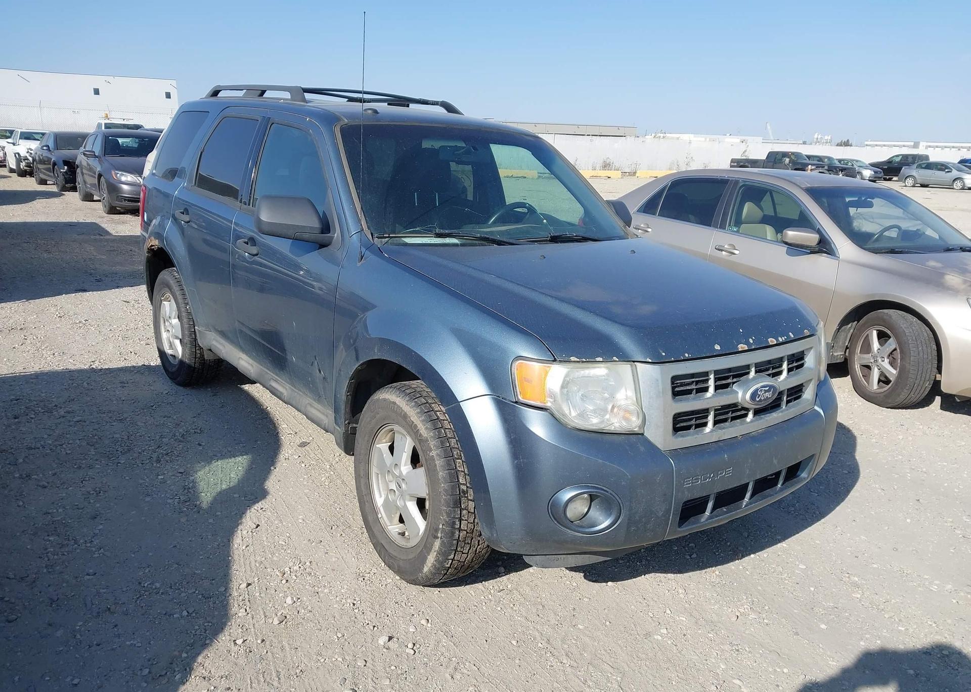 2010 FORD ESCAPE XLT