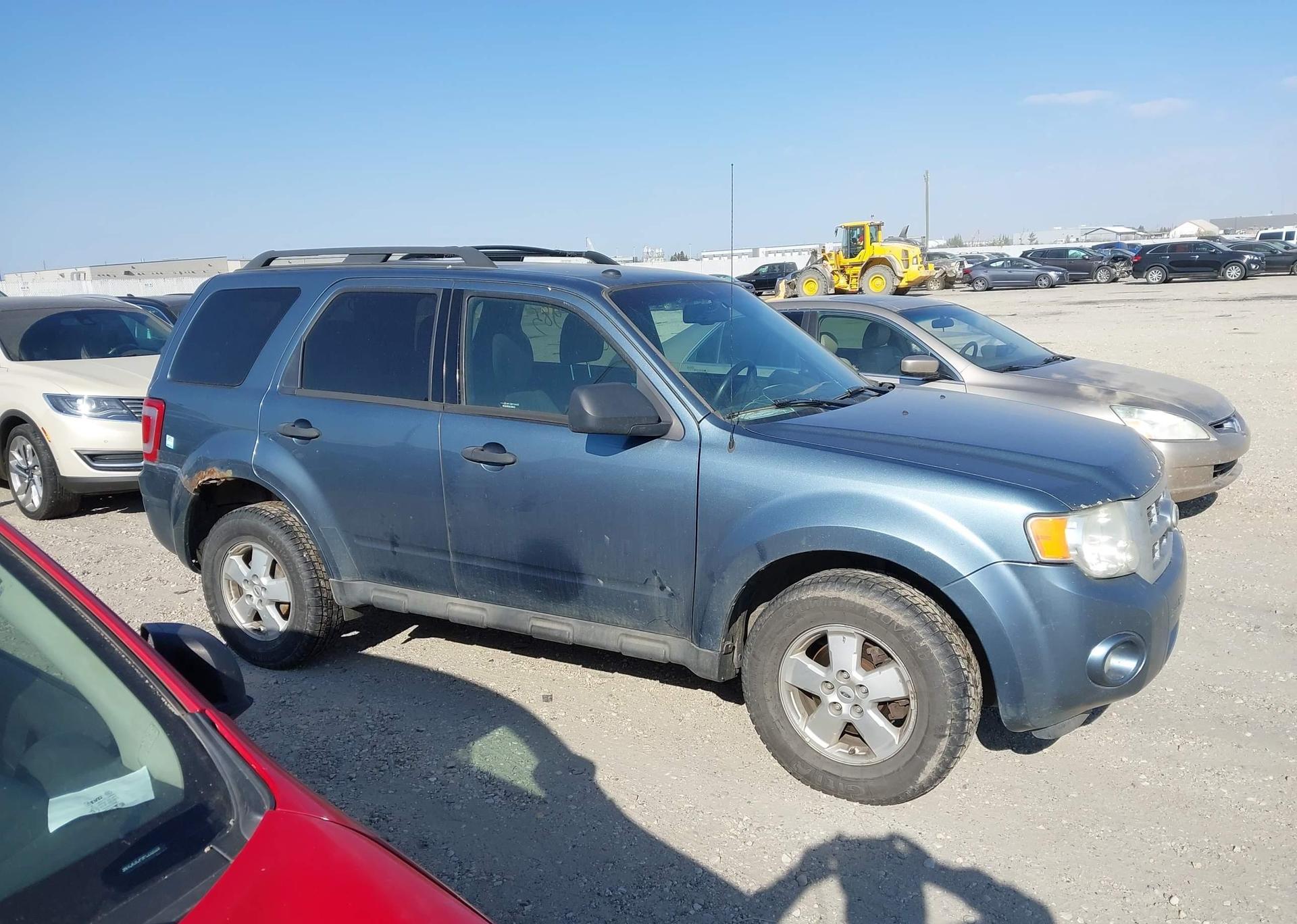2010 FORD ESCAPE XLT