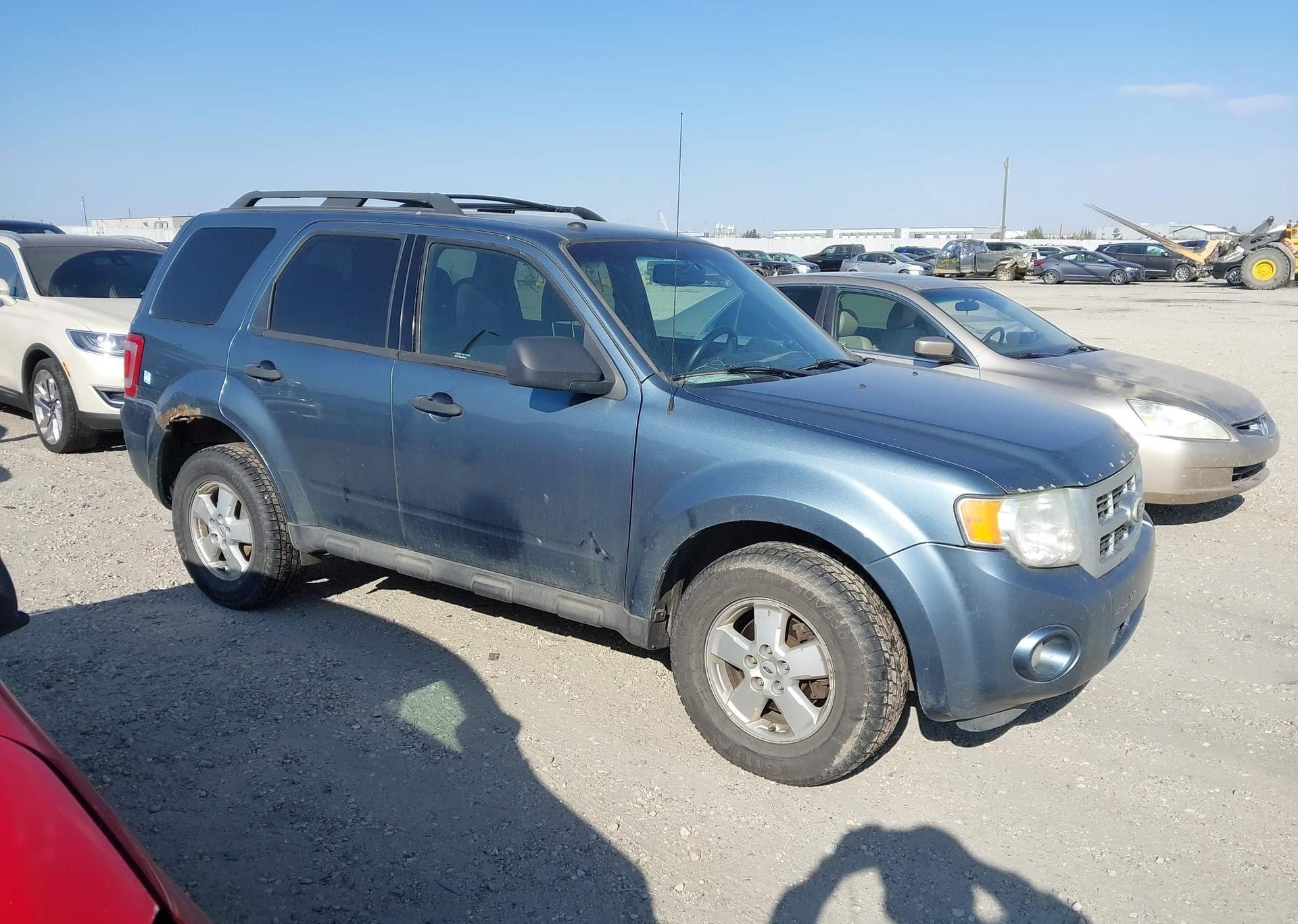 2010 FORD ESCAPE XLT