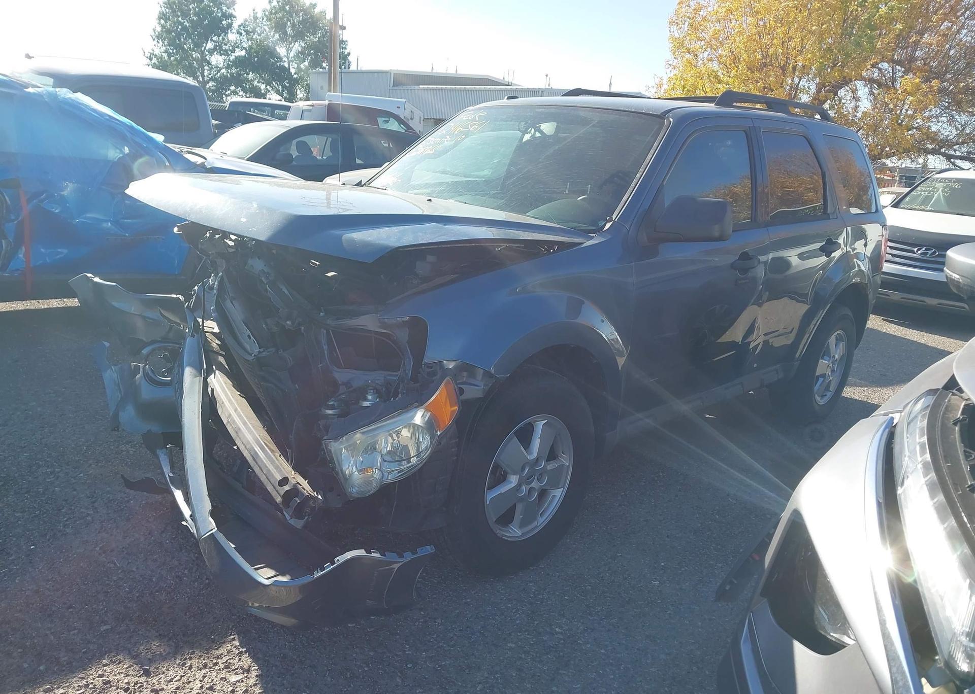 2010 FORD ESCAPE XLT