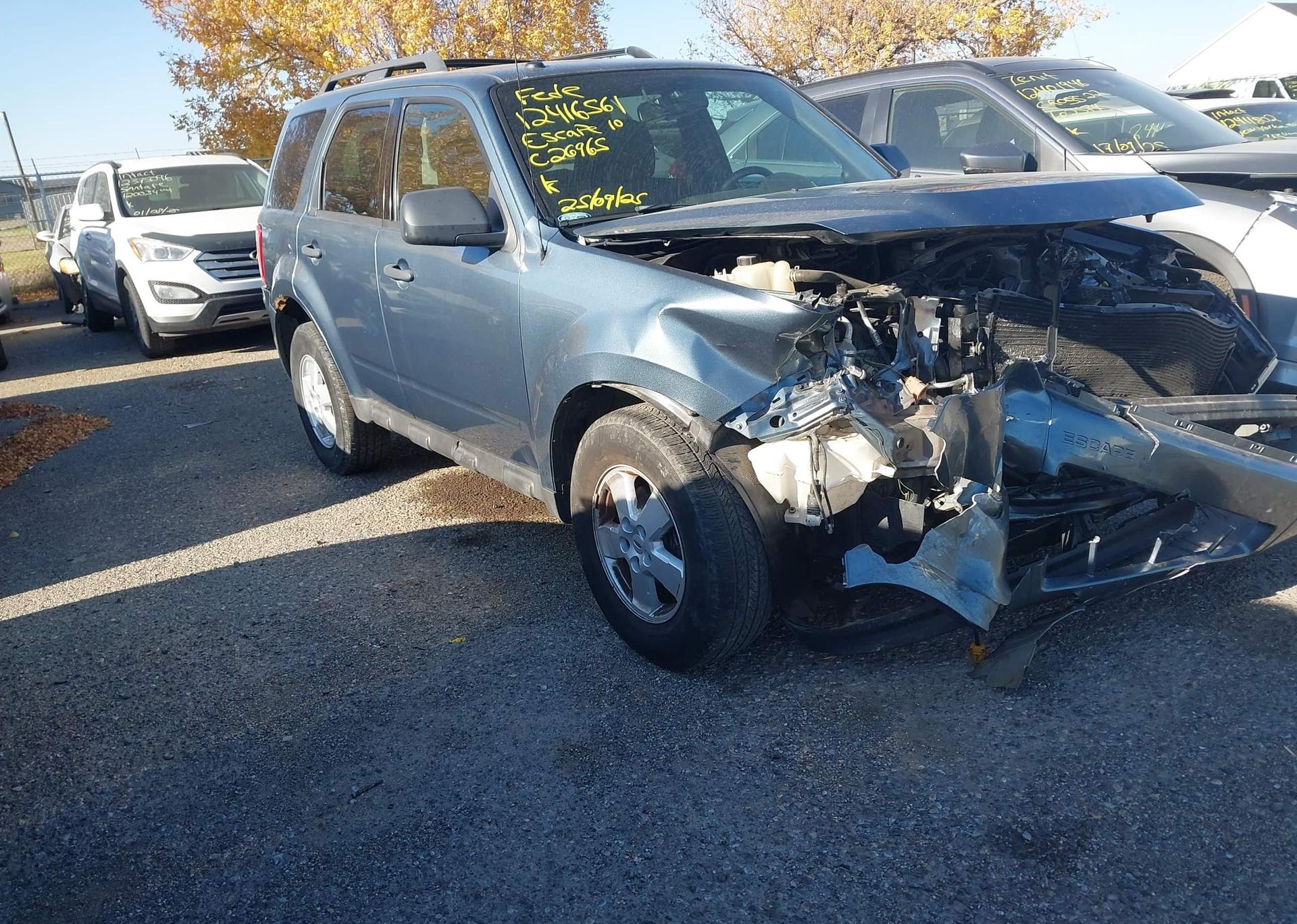 2010 FORD ESCAPE XLT