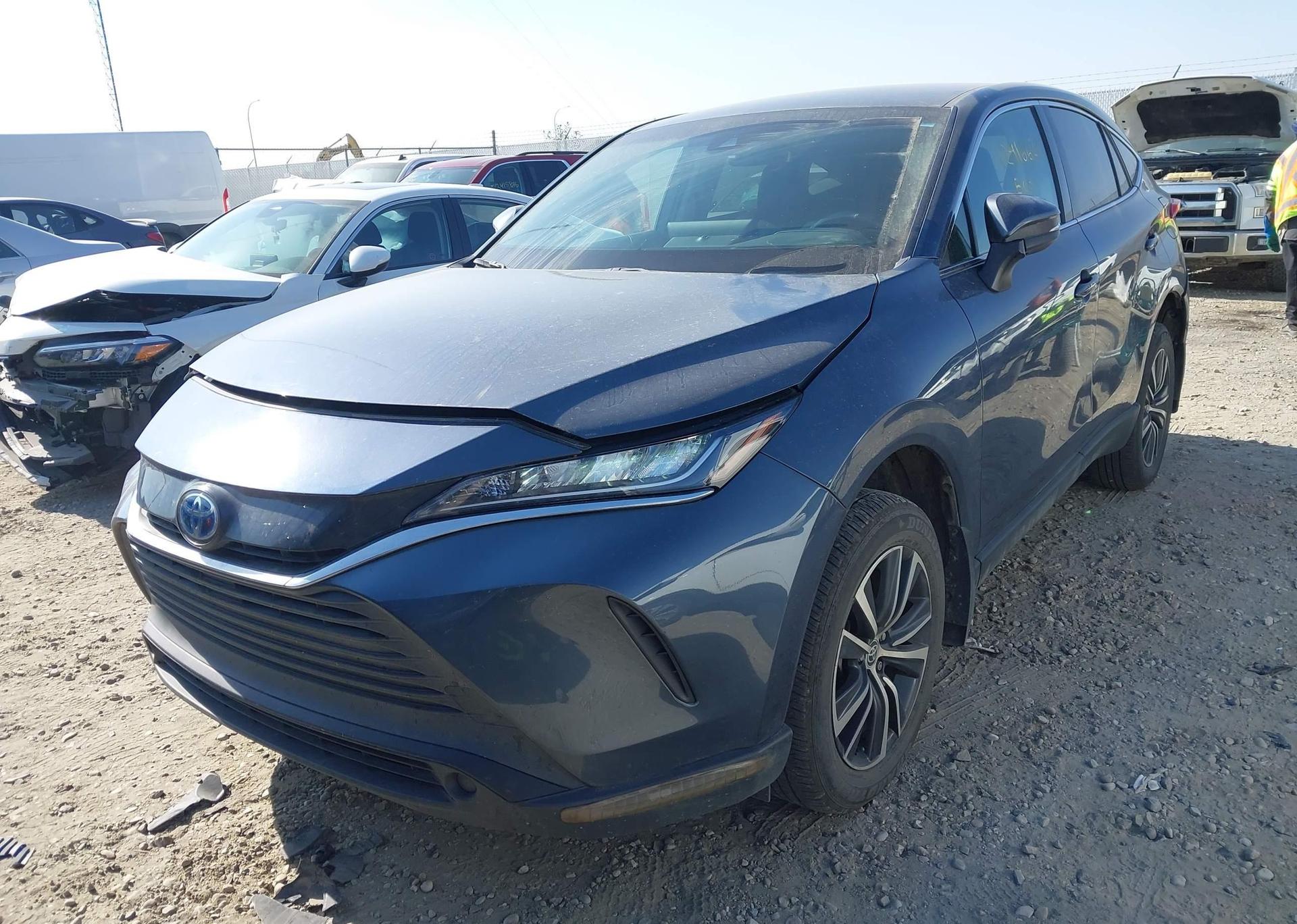 2023 TOYOTA VENZA