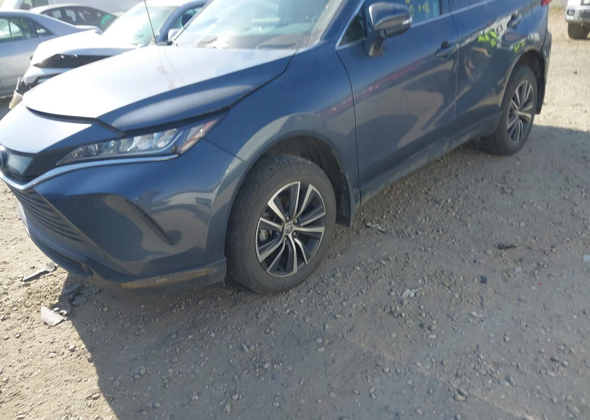 2023 TOYOTA VENZA