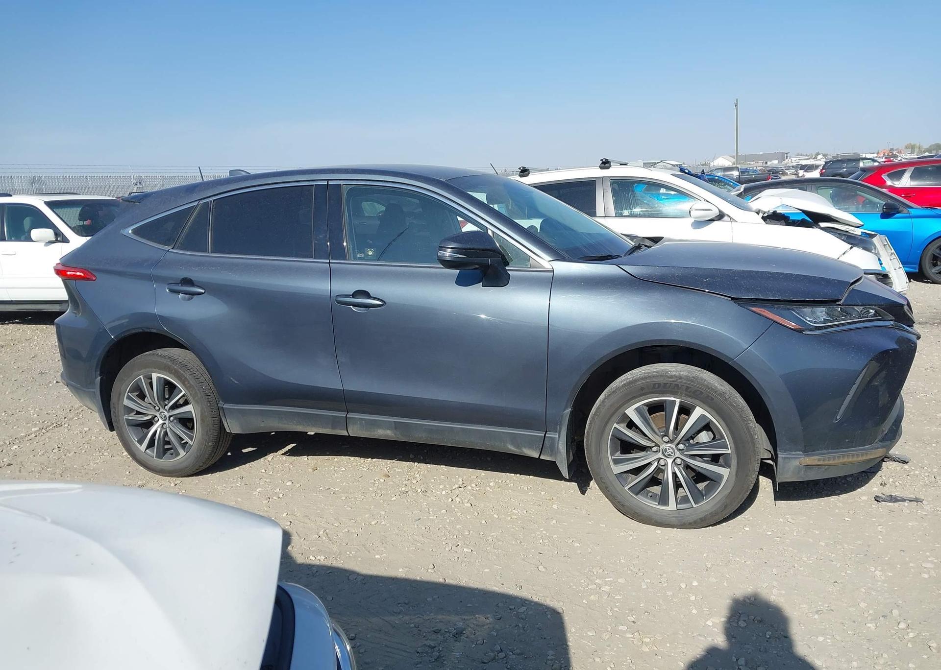 2023 TOYOTA VENZA