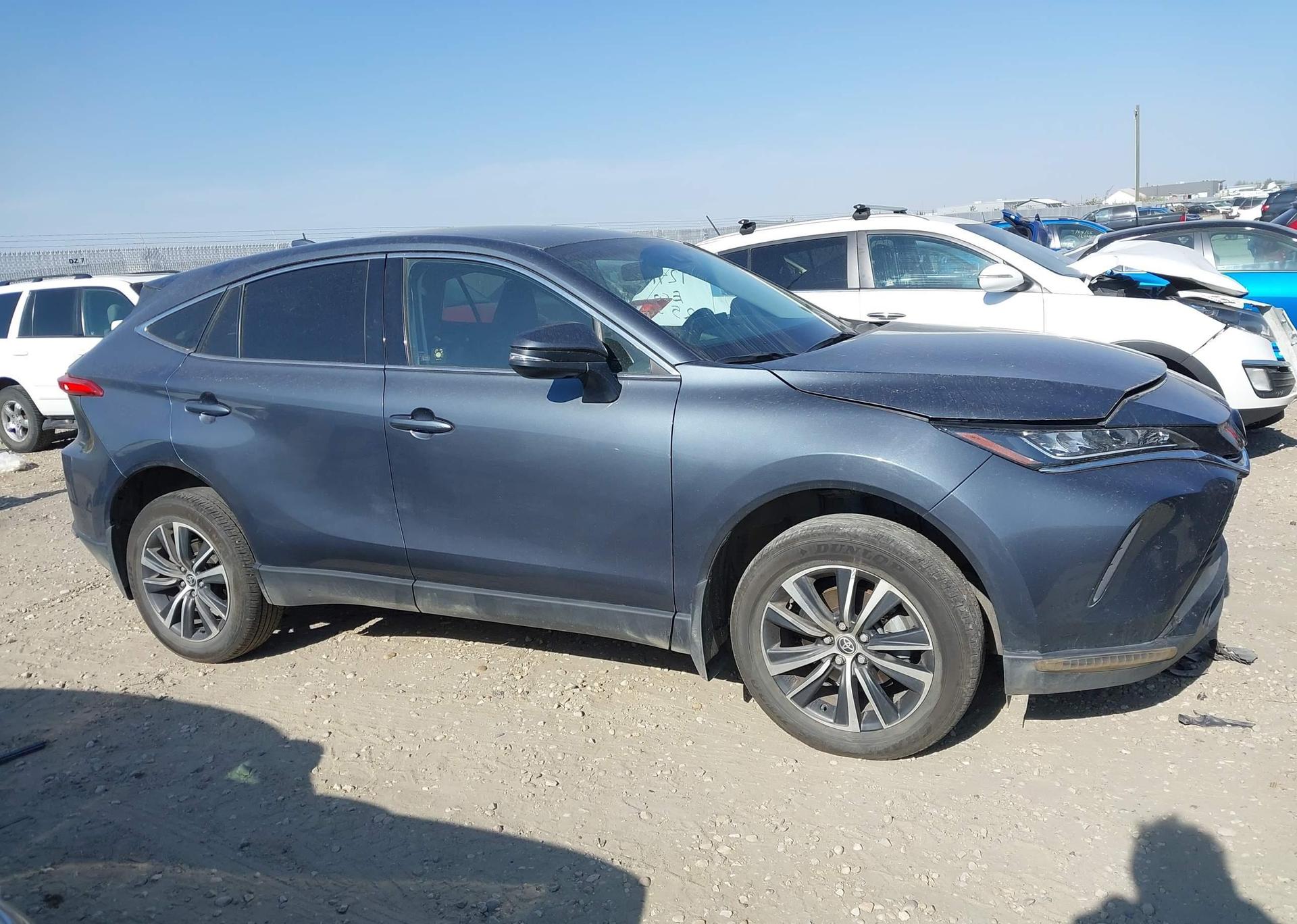 2023 TOYOTA VENZA
