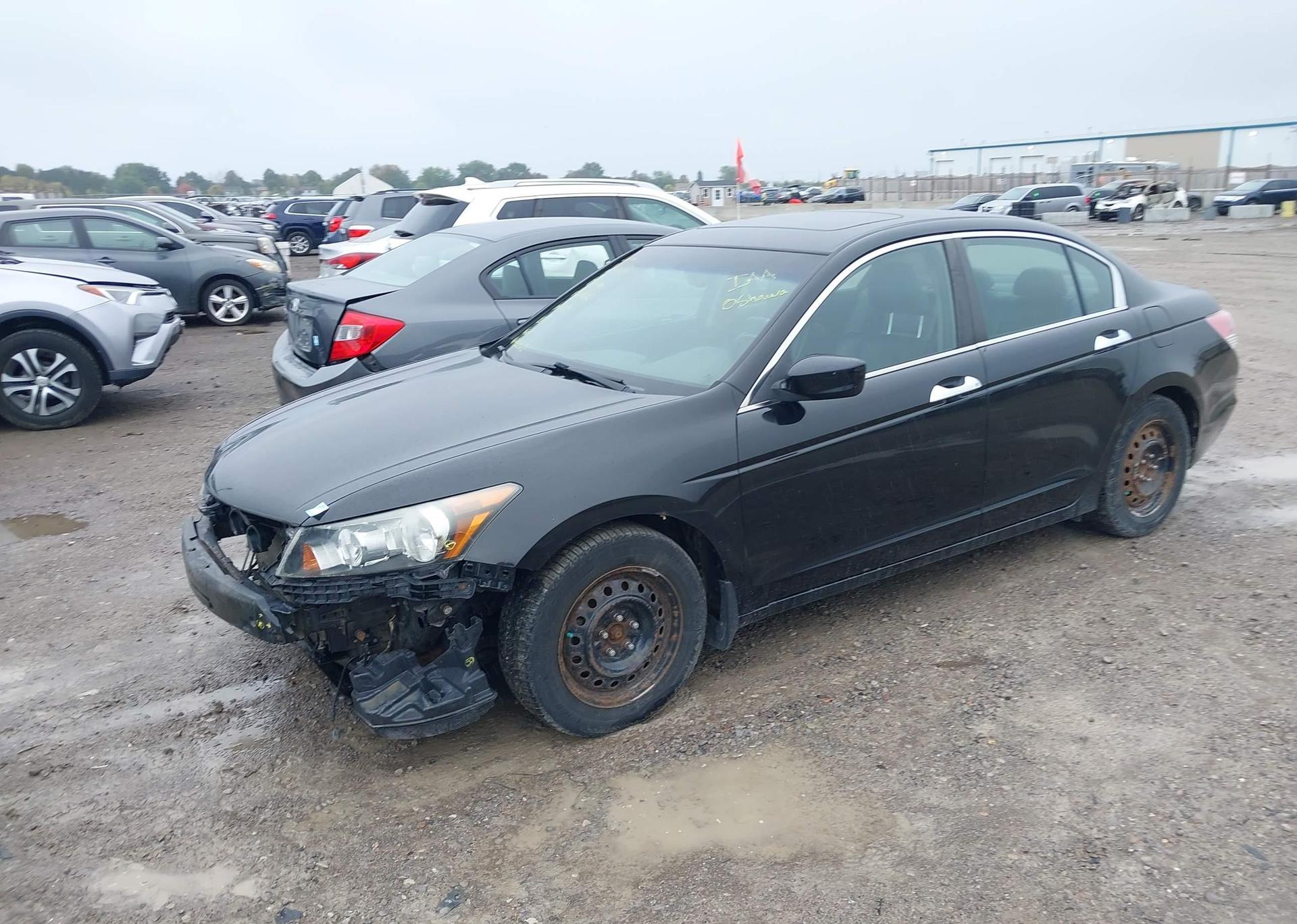 2010 HONDA ACCORD EX-L V6