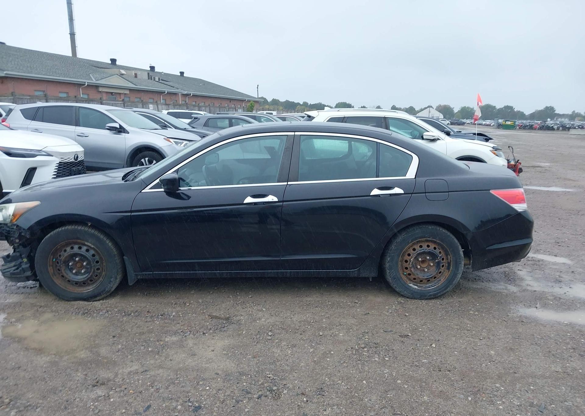 2010 HONDA ACCORD EX-L V6