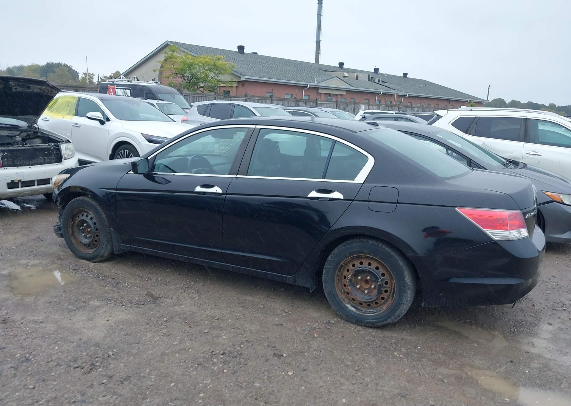 2010 HONDA ACCORD EX-L V6