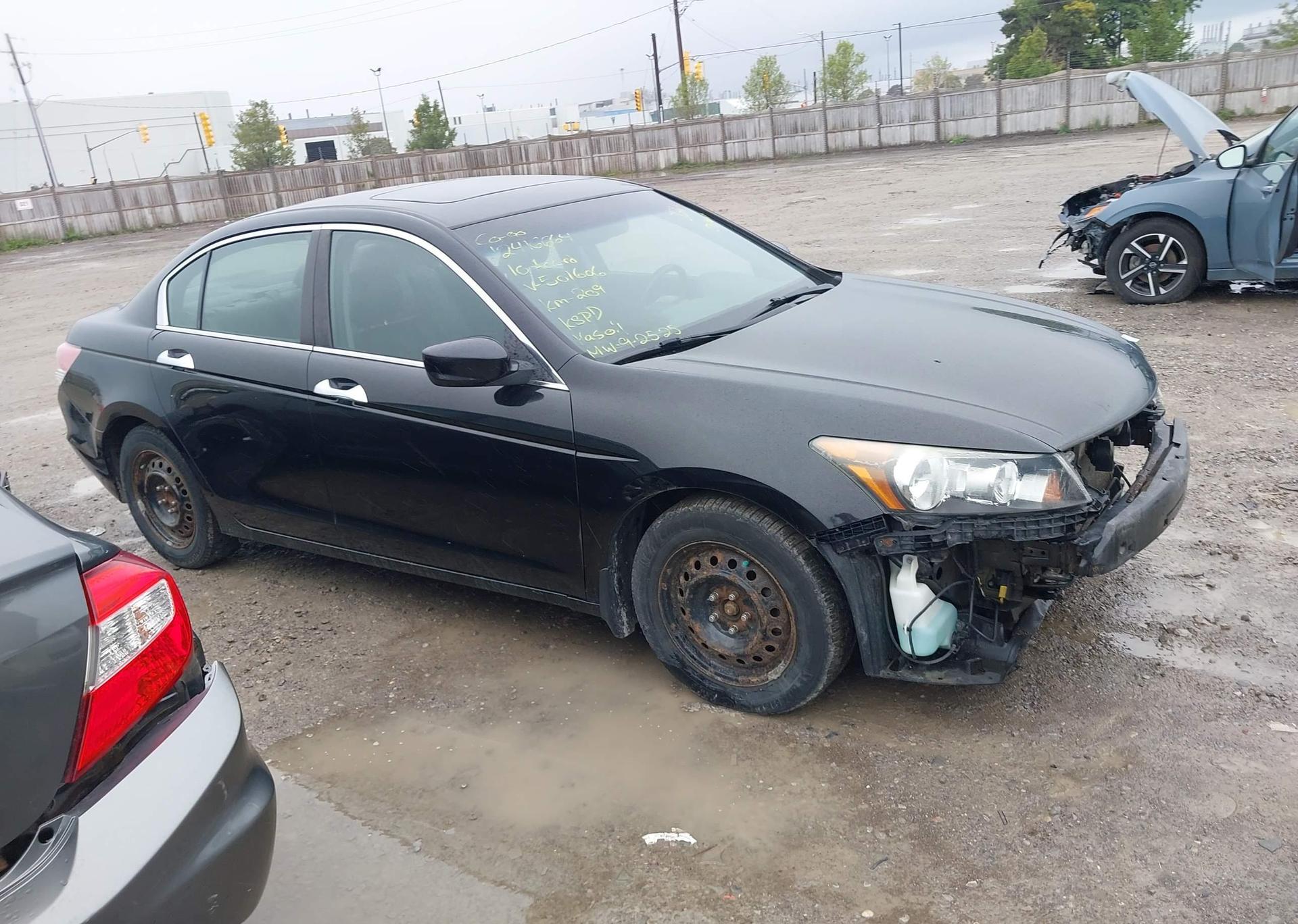 2010 HONDA ACCORD EX-L V6