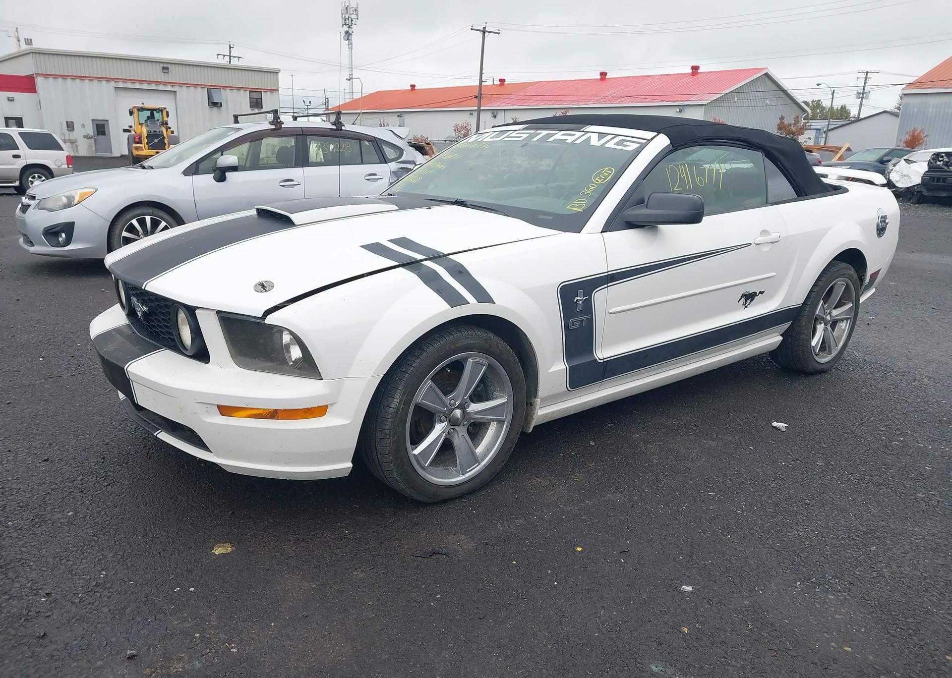 2005 FORD MUSTANG GT