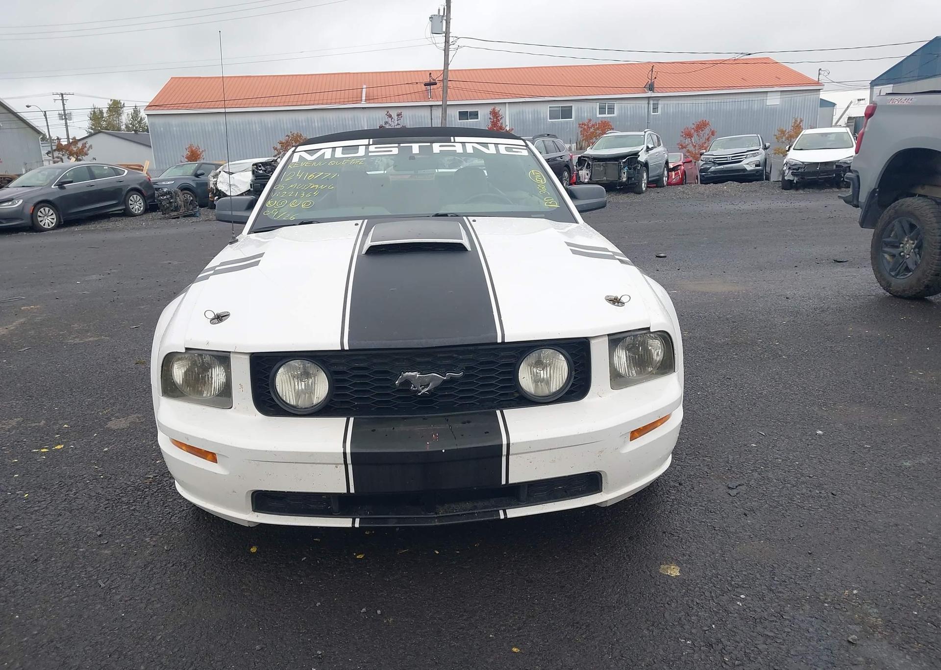 2005 FORD MUSTANG GT