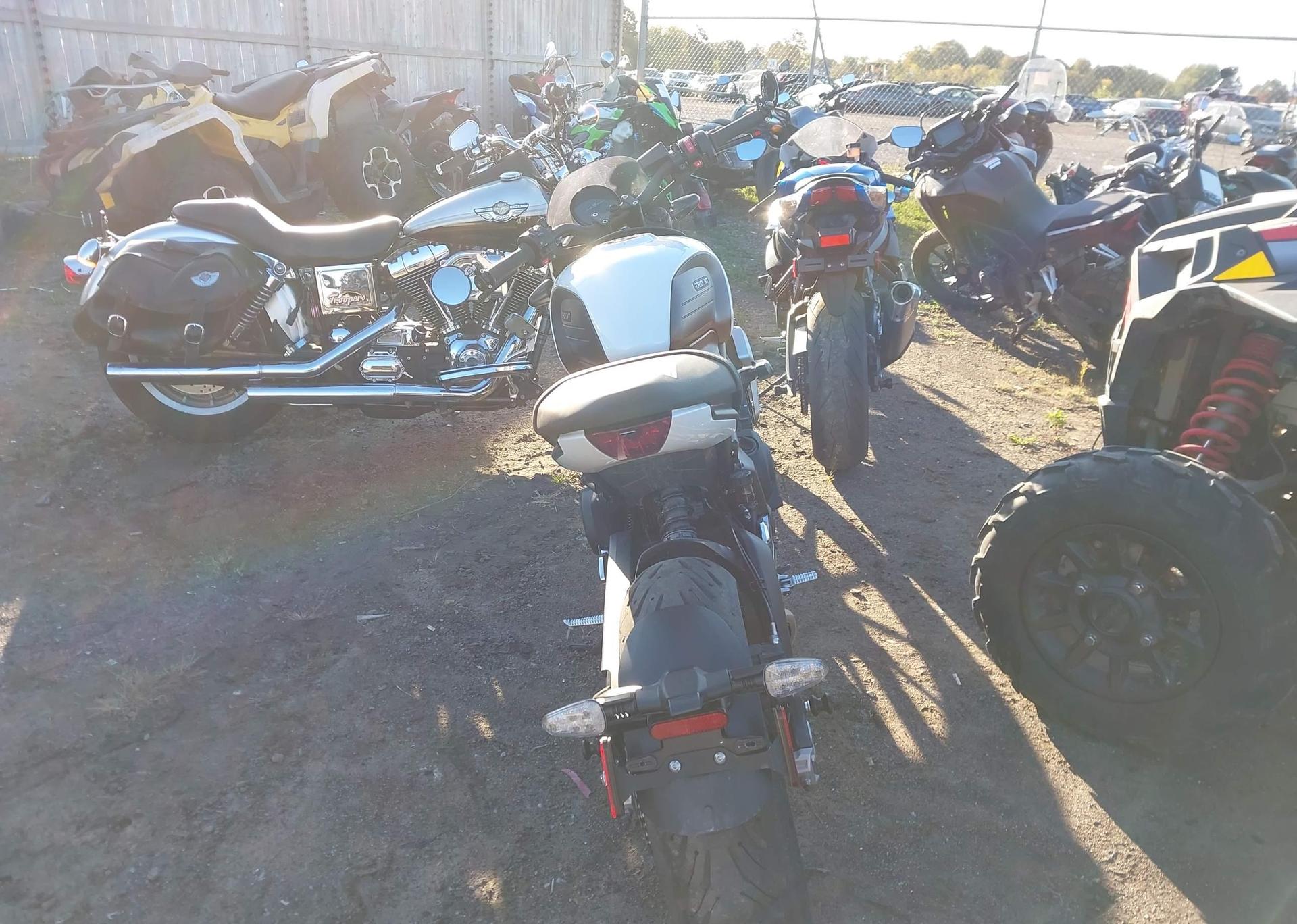 2022 TRIUMPH MOTORCYCLE TRIDENT 660