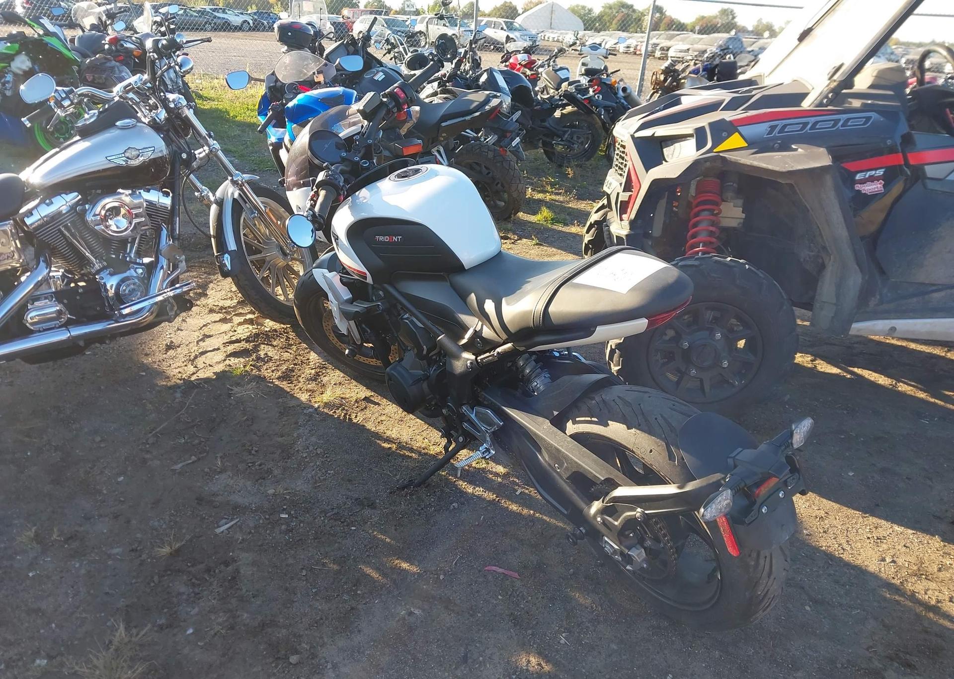 2022 TRIUMPH MOTORCYCLE TRIDENT 660