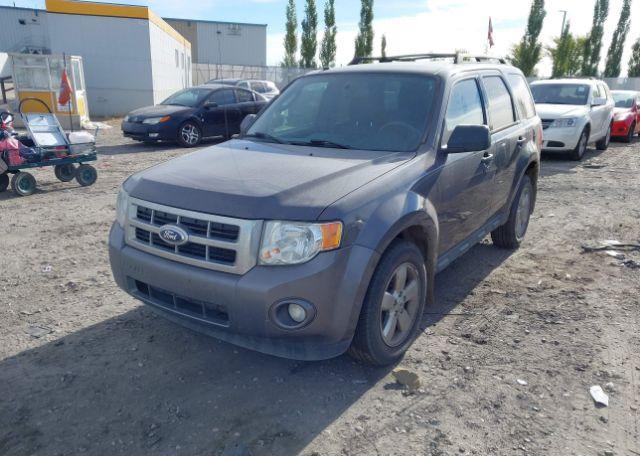 2012 FORD ESCAPE XLT