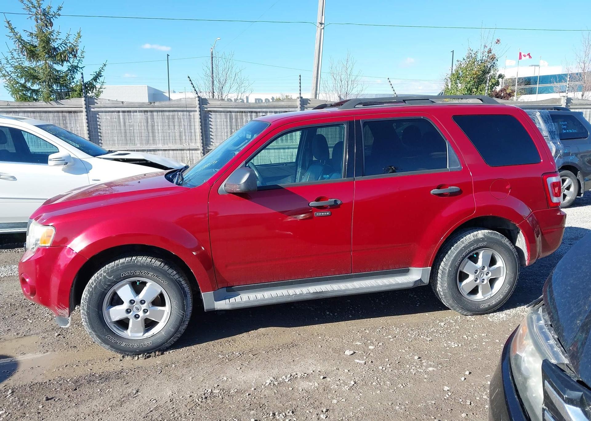 2011 FORD ESCAPE XLT