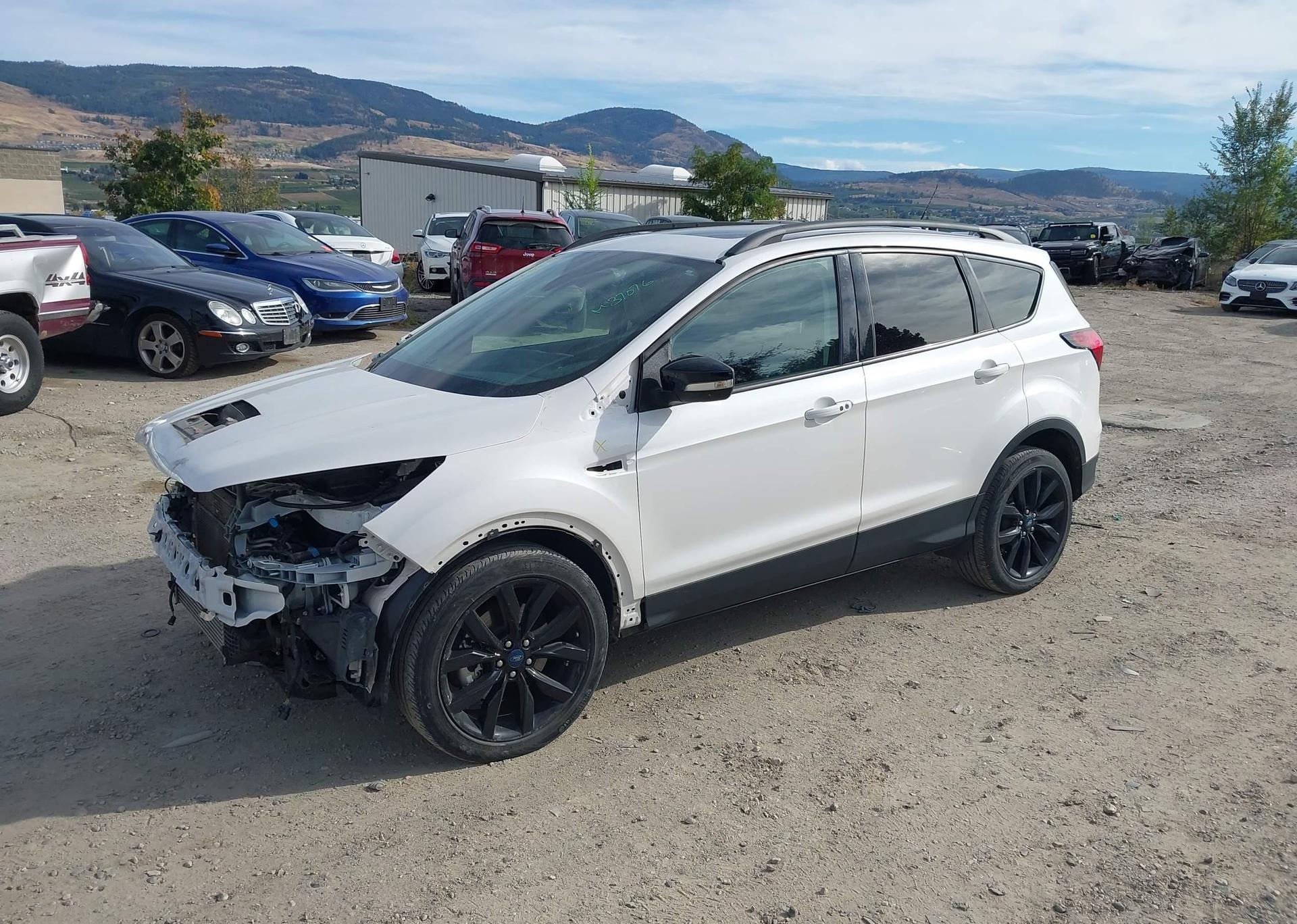2019 FORD ESCAPE TITANIUM
