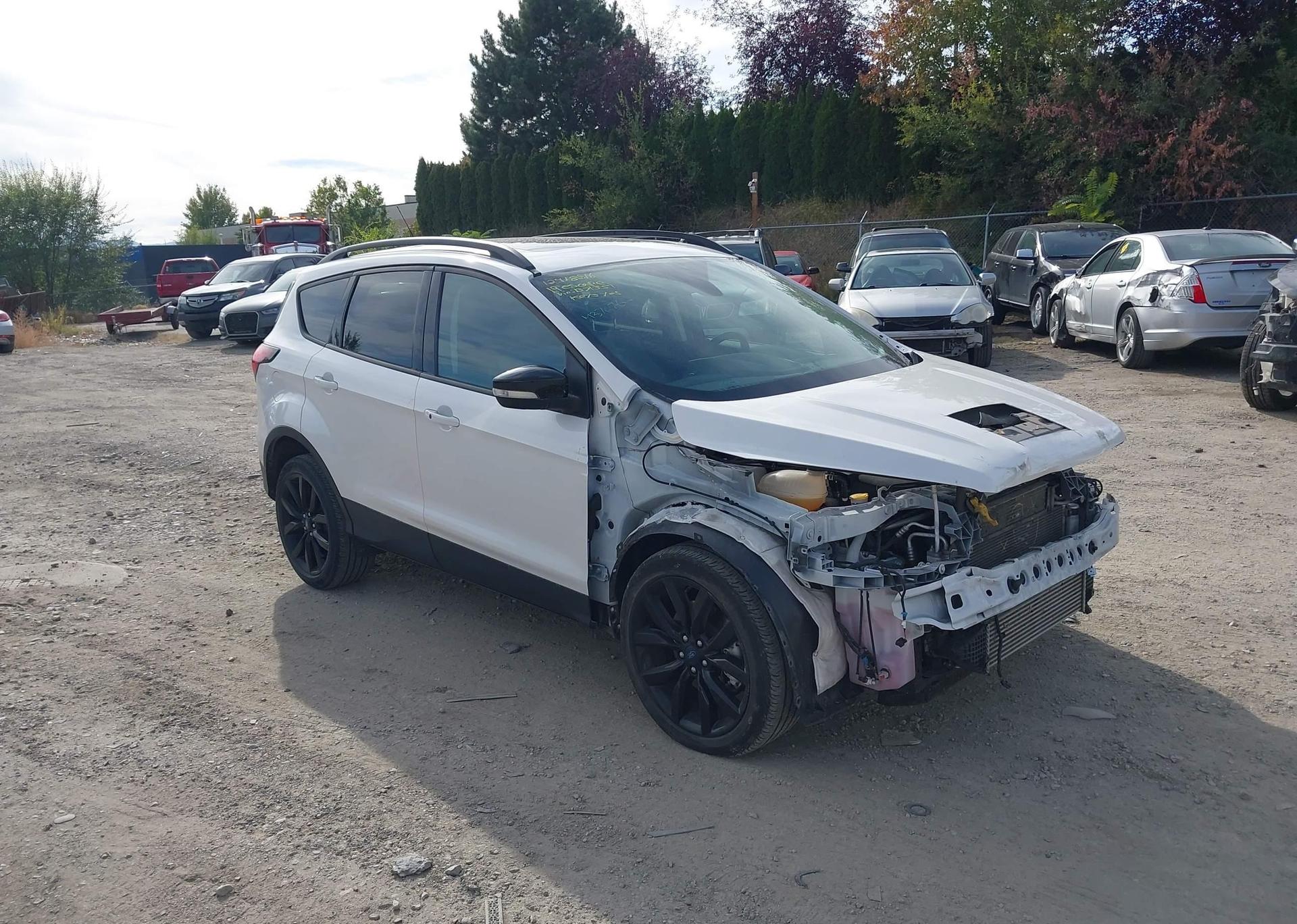 2019 FORD ESCAPE TITANIUM