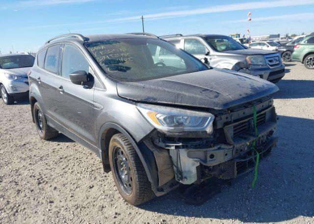 2019 FORD ESCAPE SEL
