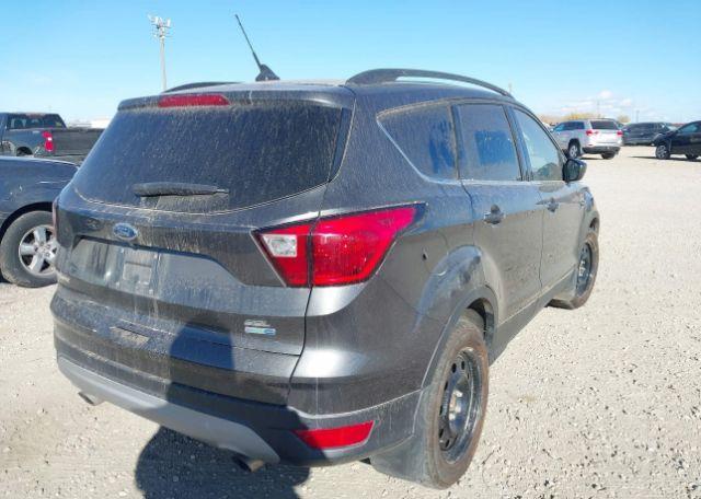 2019 FORD ESCAPE SEL