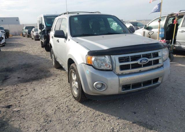 2012 FORD ESCAPE XLT