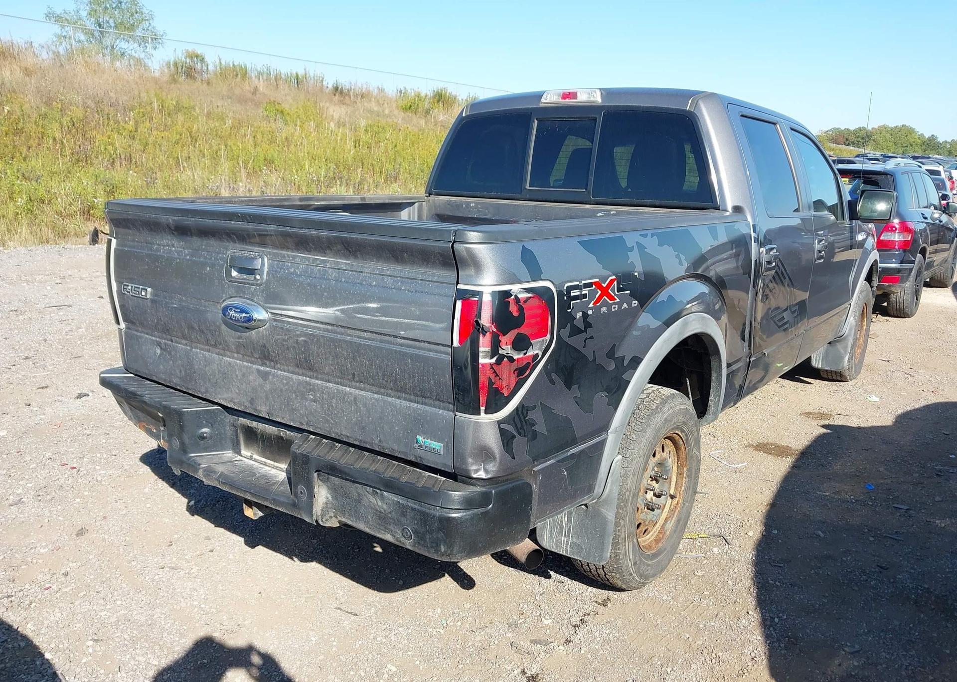 2010 FORD F-150