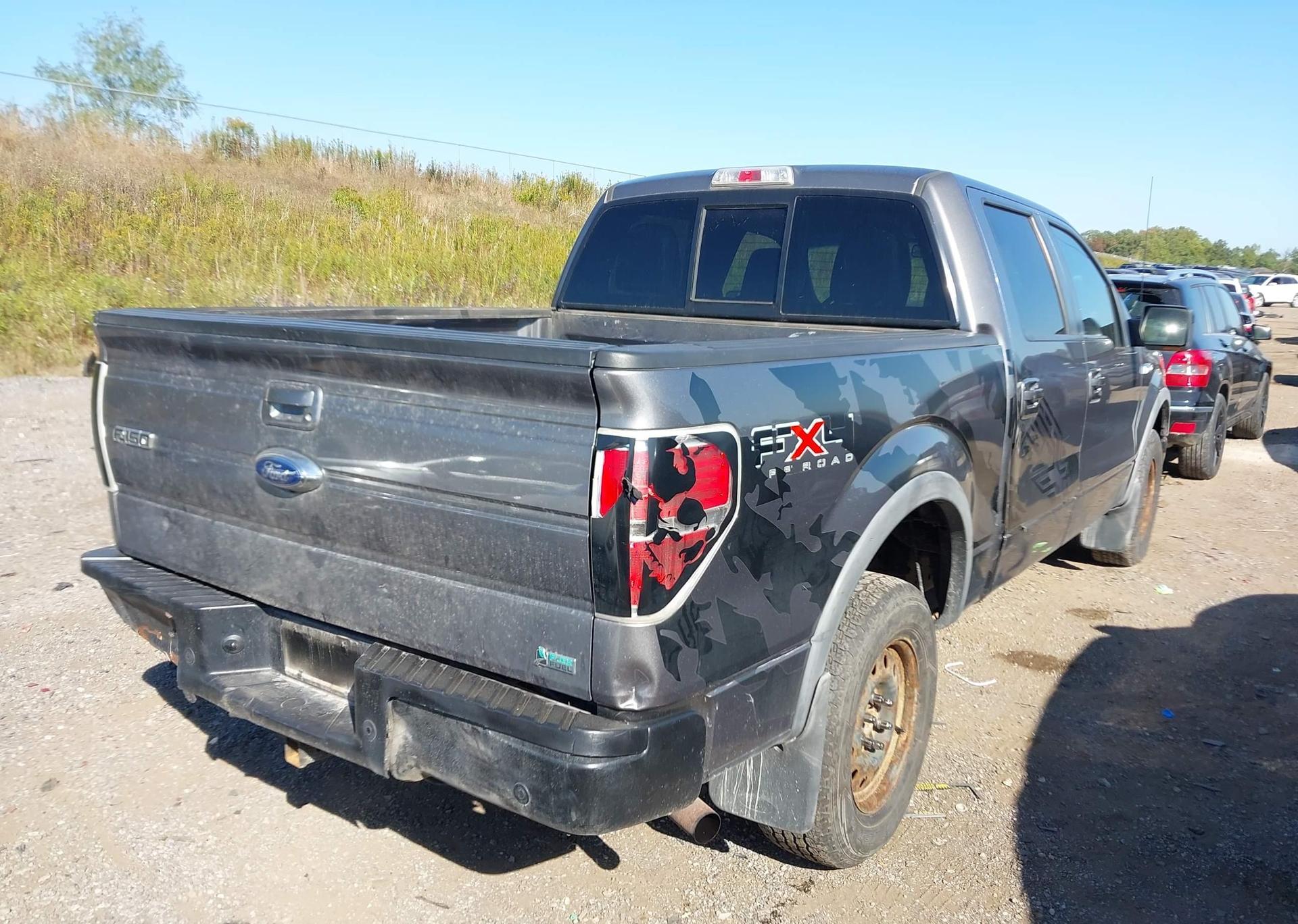 2010 FORD F-150