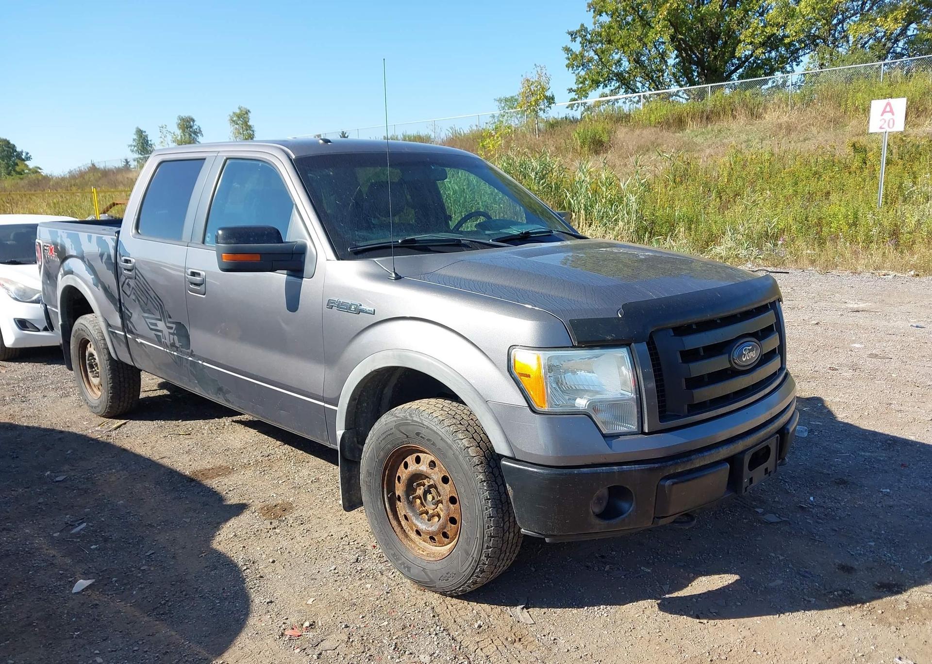 2010 FORD F-150