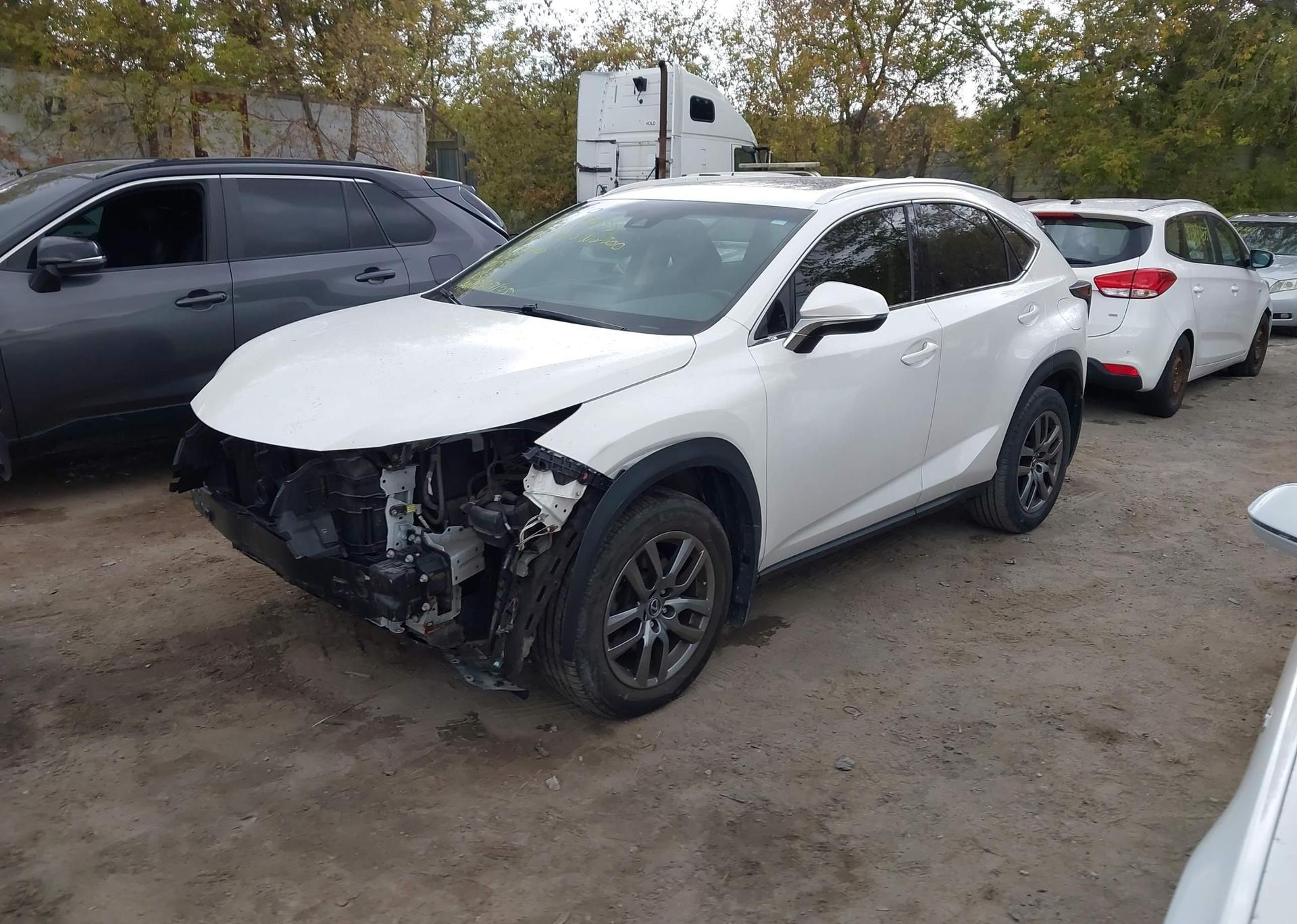 2019 LEXUS NX 300