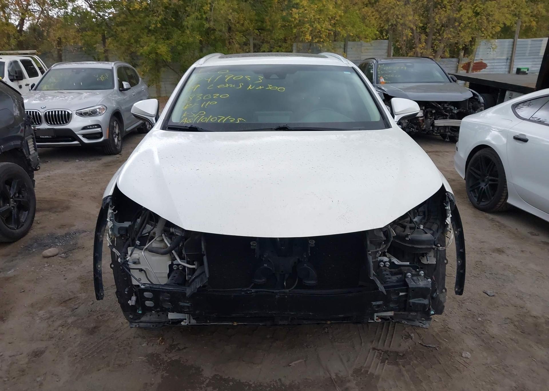 2019 LEXUS NX 300