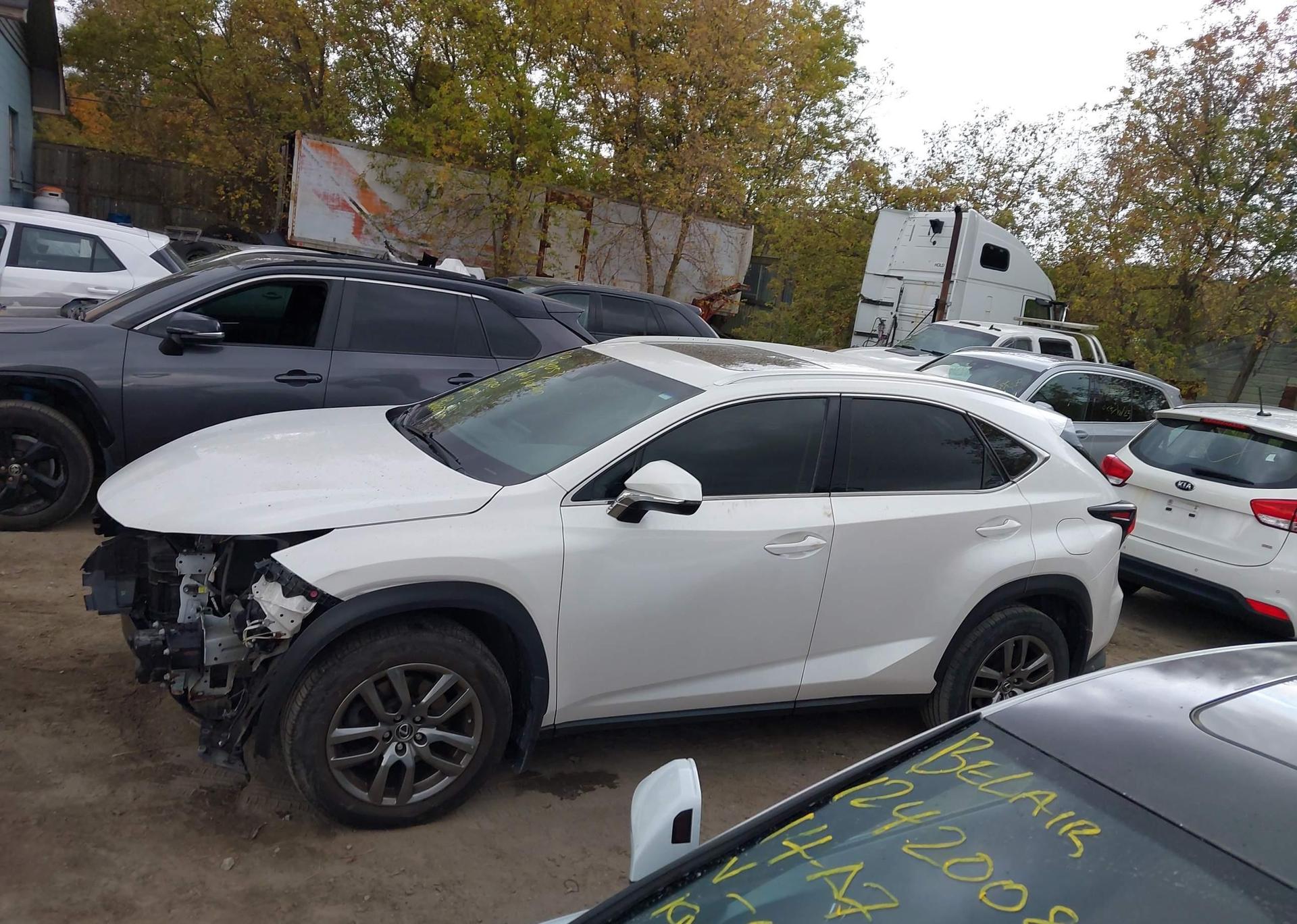 2019 LEXUS NX 300