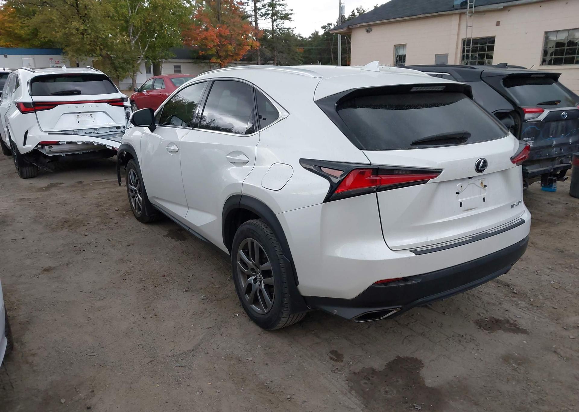 2019 LEXUS NX 300